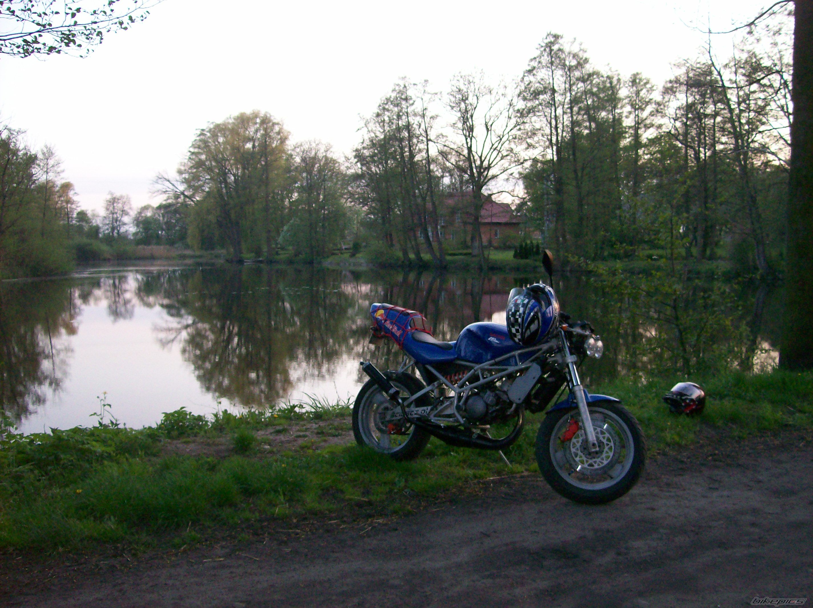 Photo 1274758