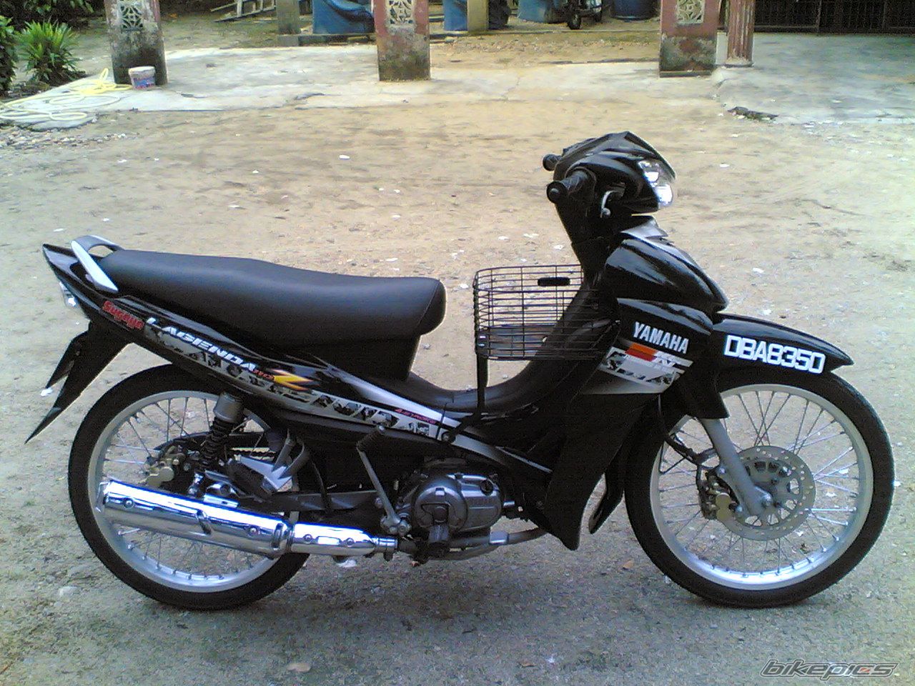 Photo 1274759