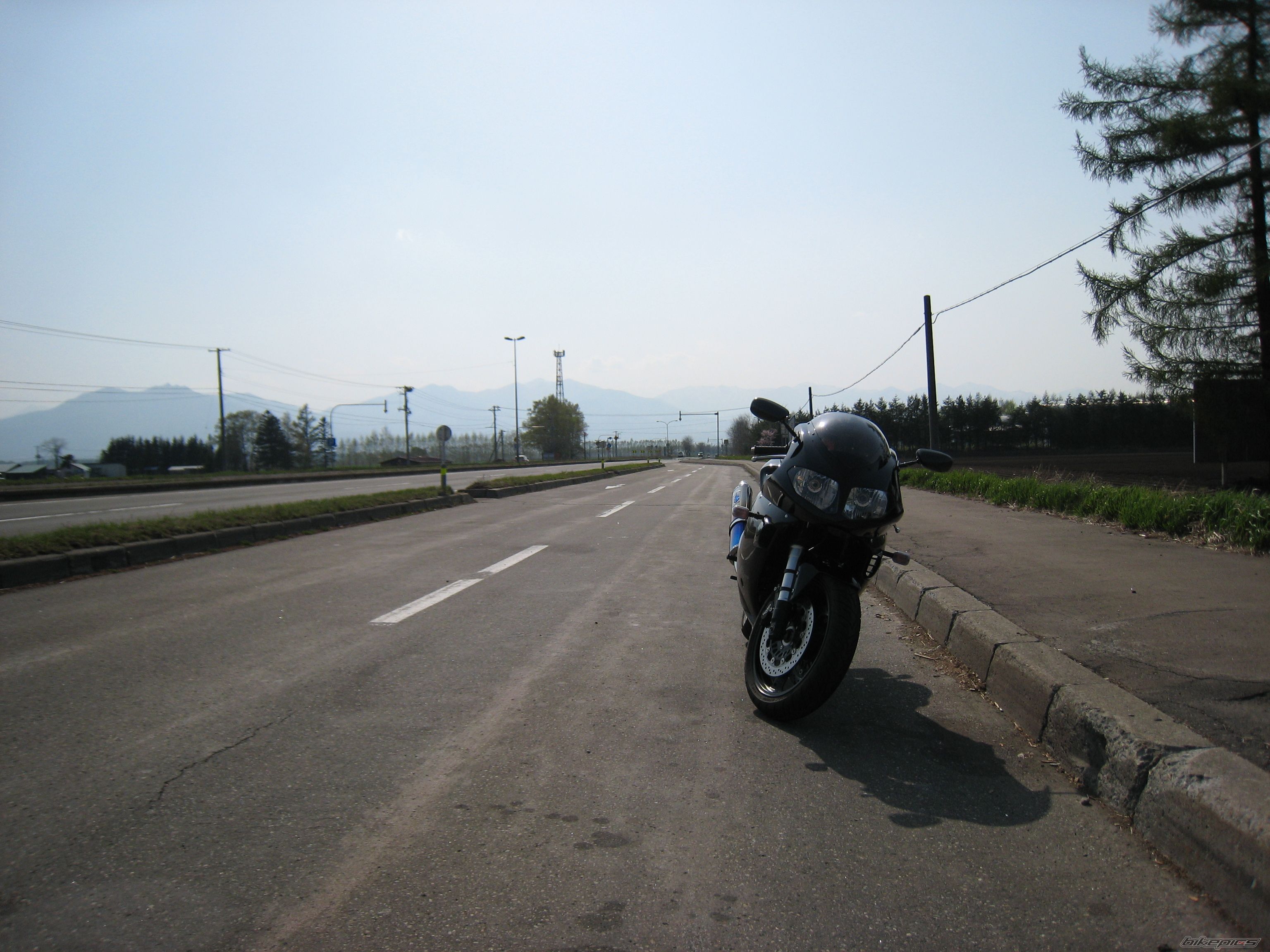 Photo 1274766
