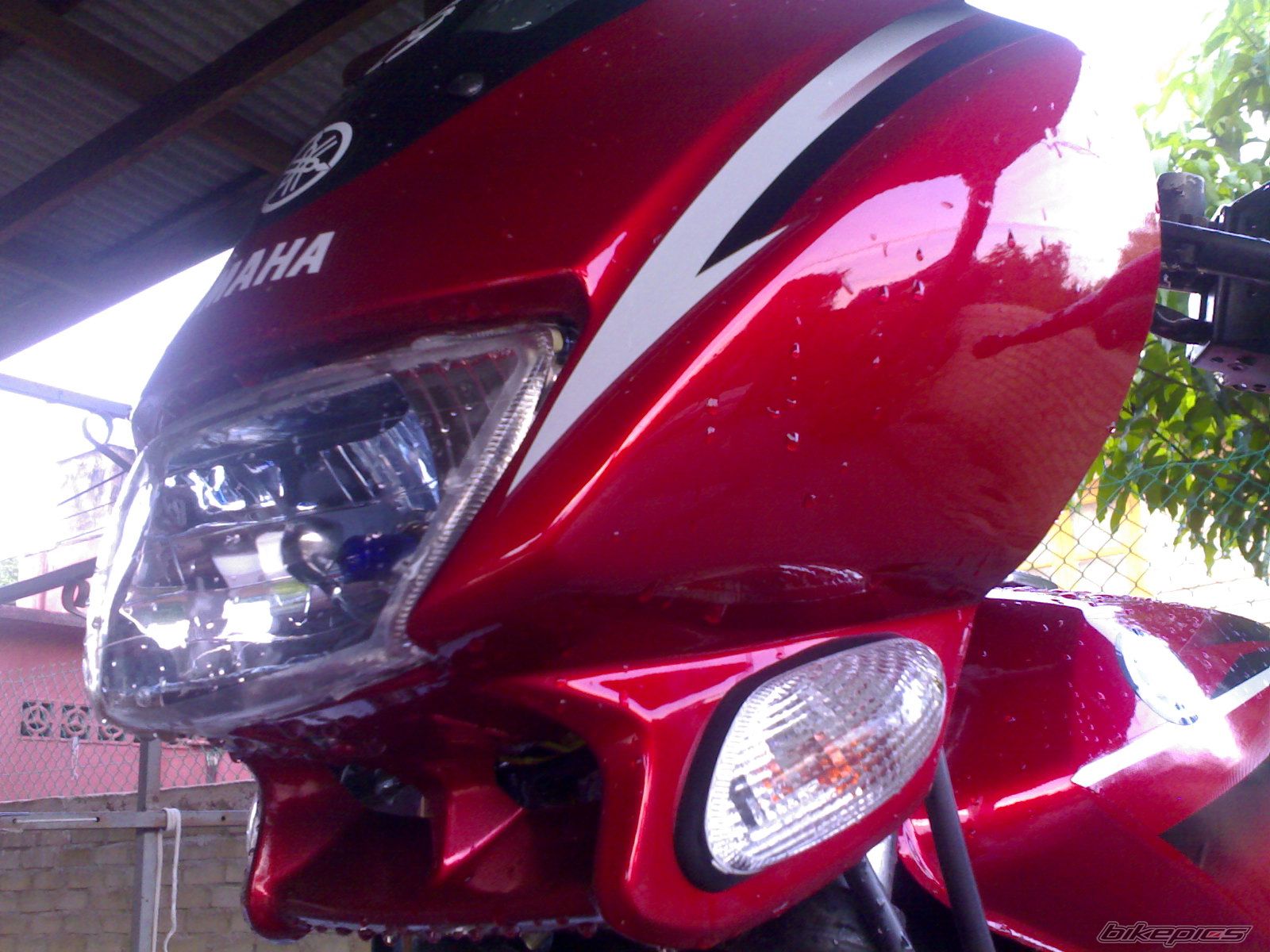 Bike Photo 1274809