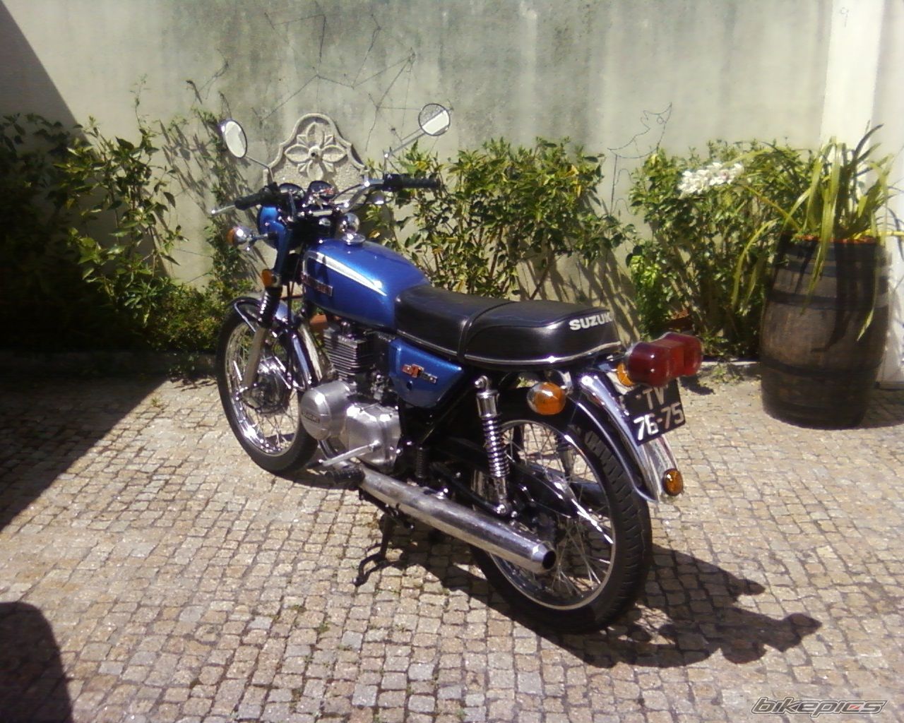 Photo 1274827