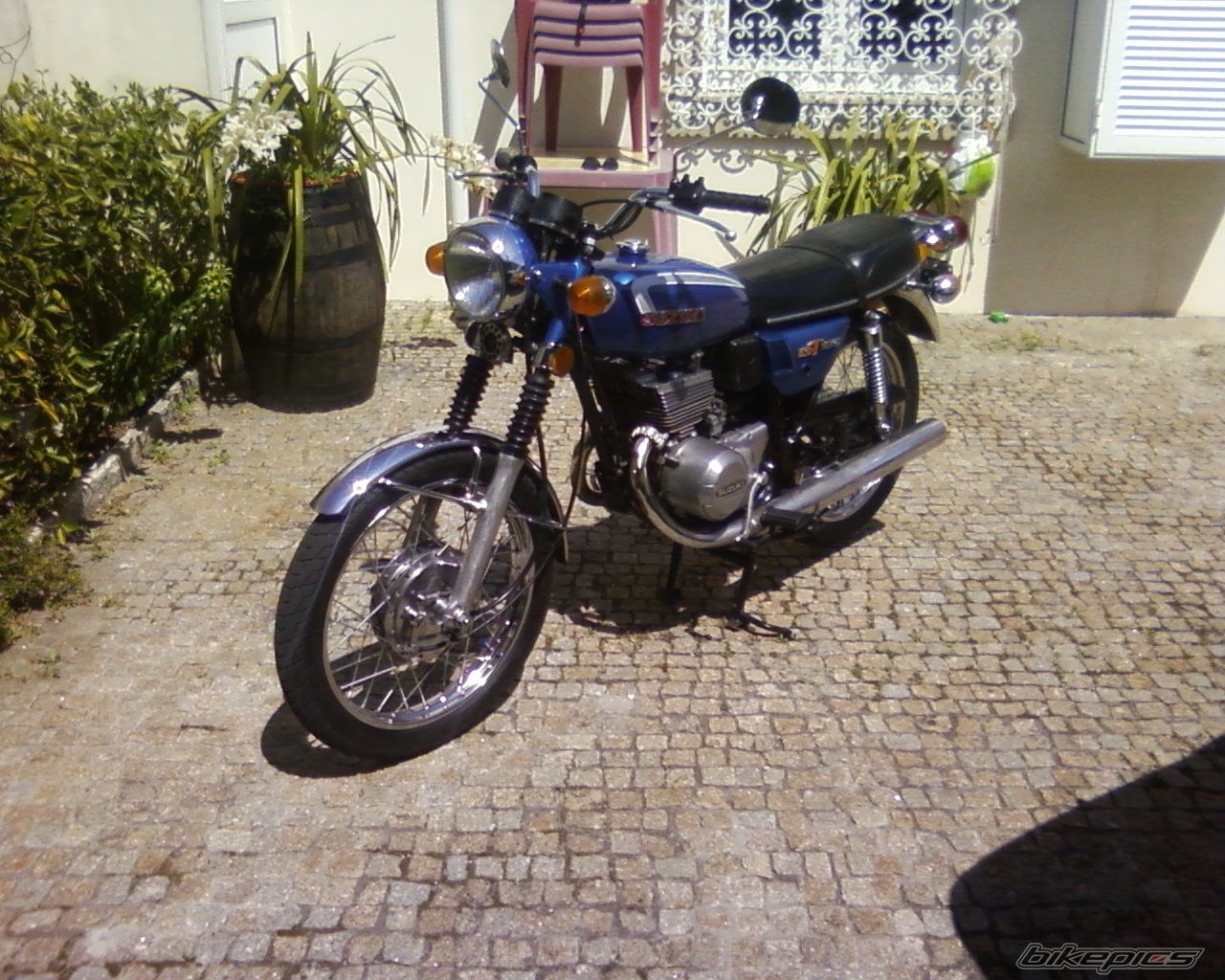 Photo 1274828