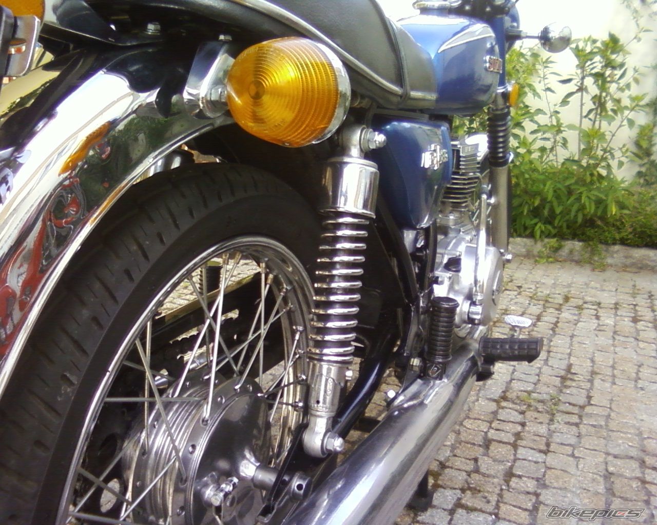 Photo 1274832