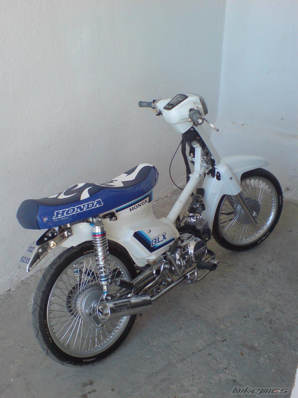 Photo 1274855