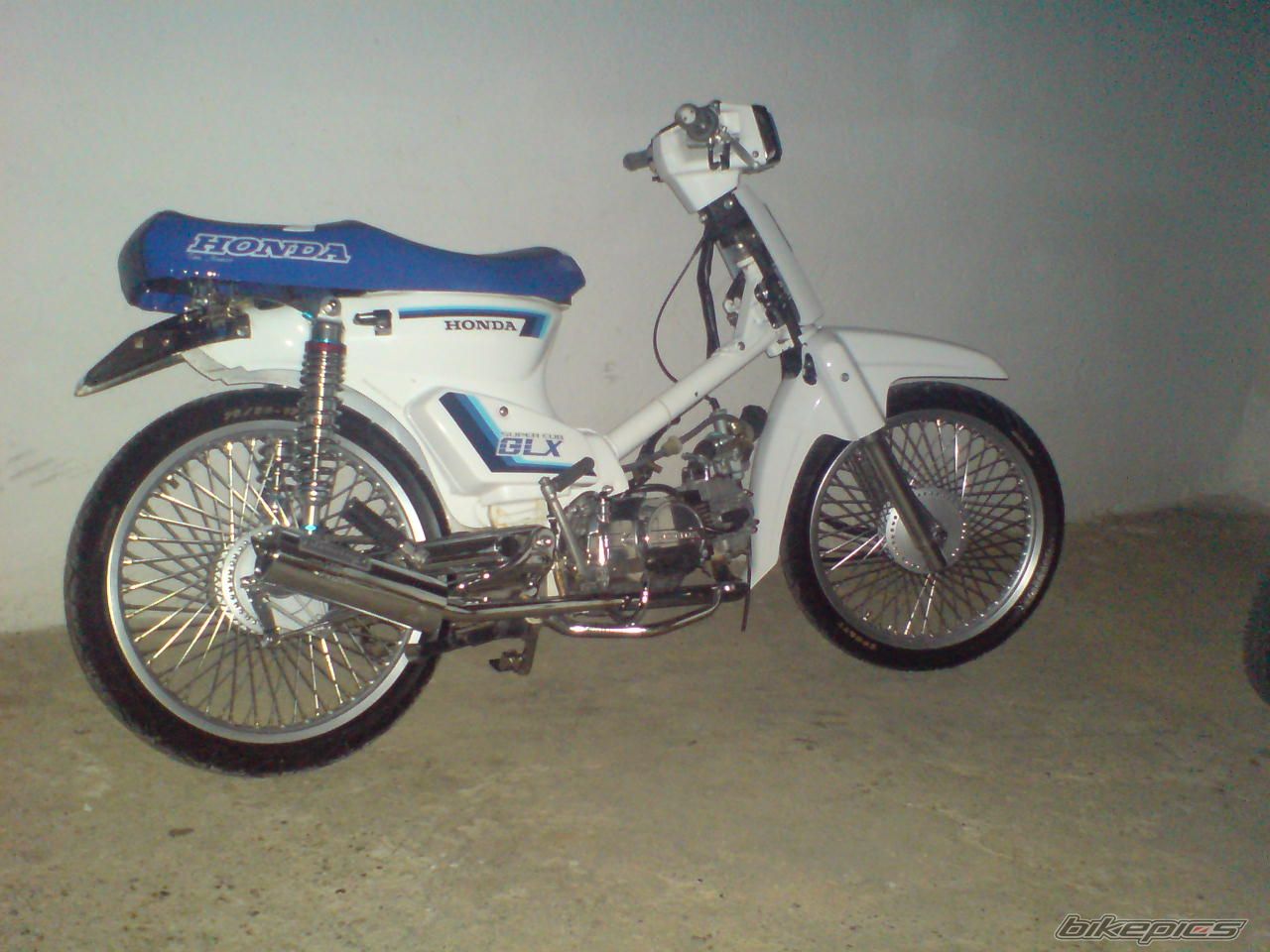 Photo 1274858