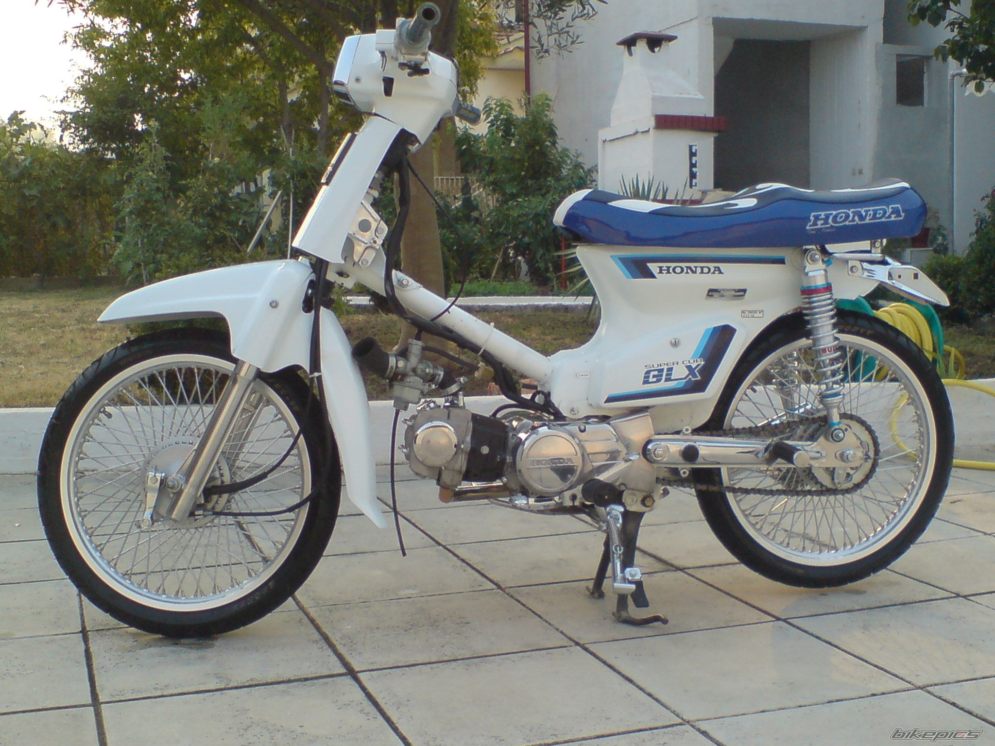 Photo 1274864