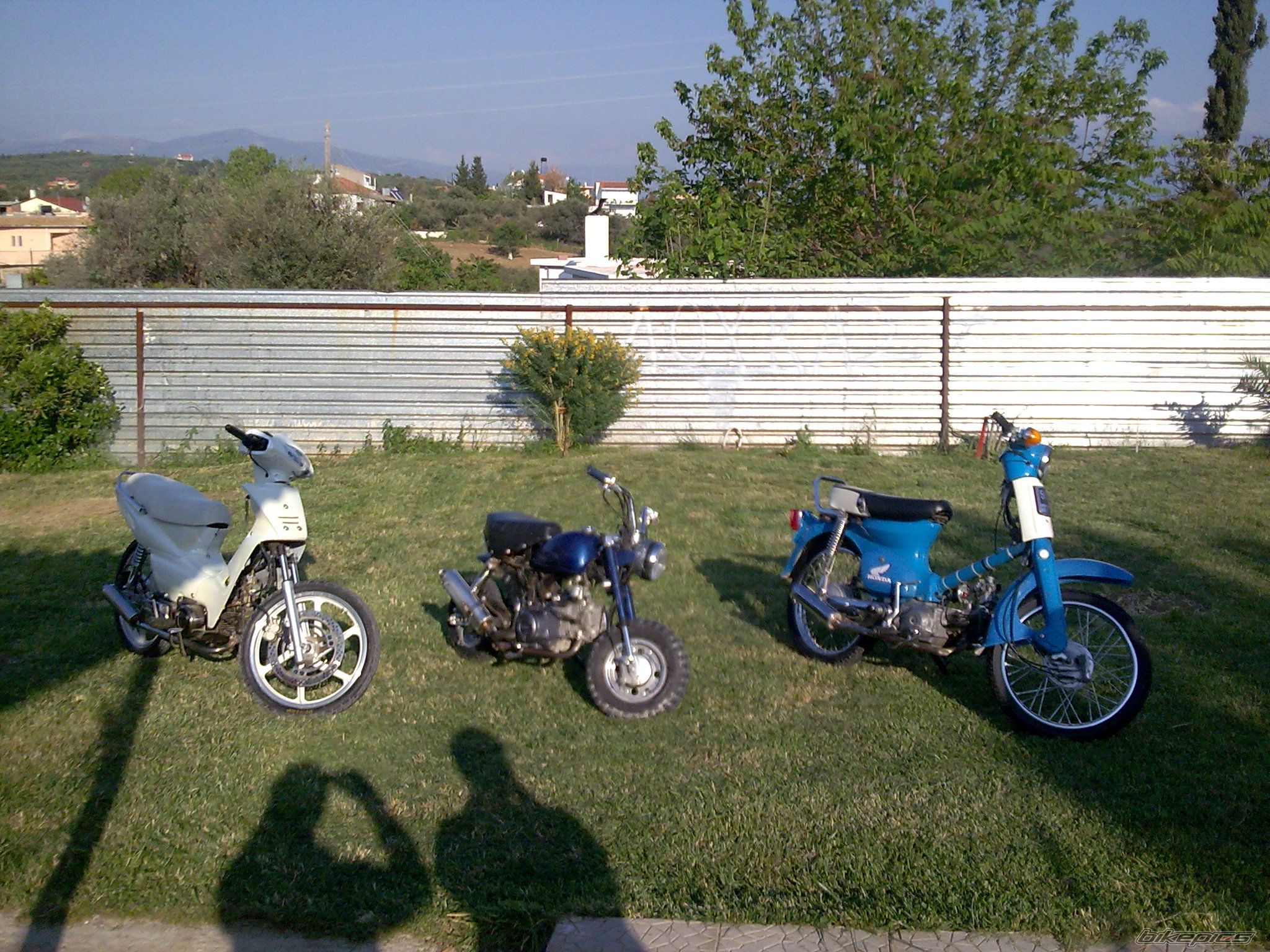 Photo 1274873