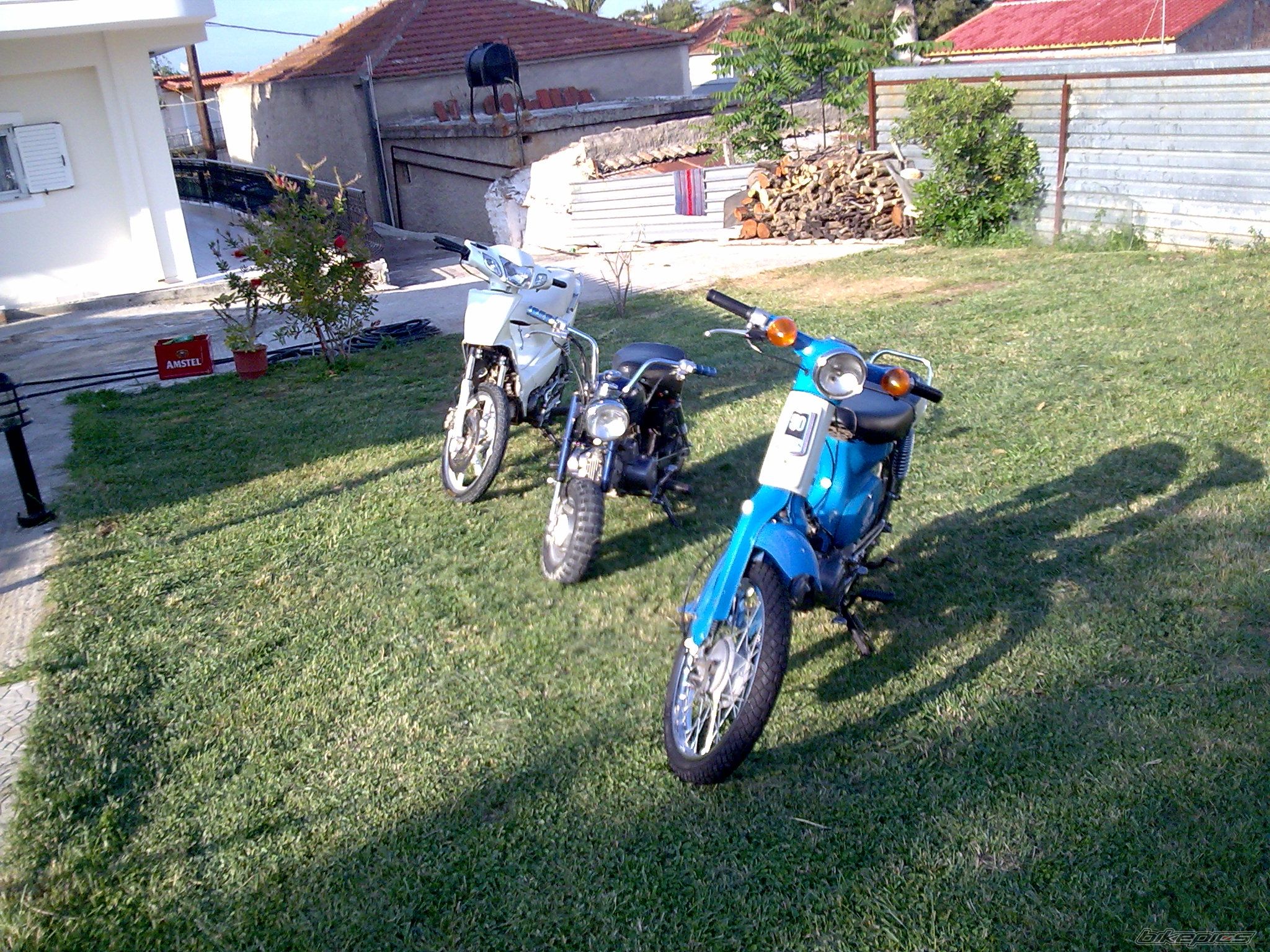 Photo 1274875