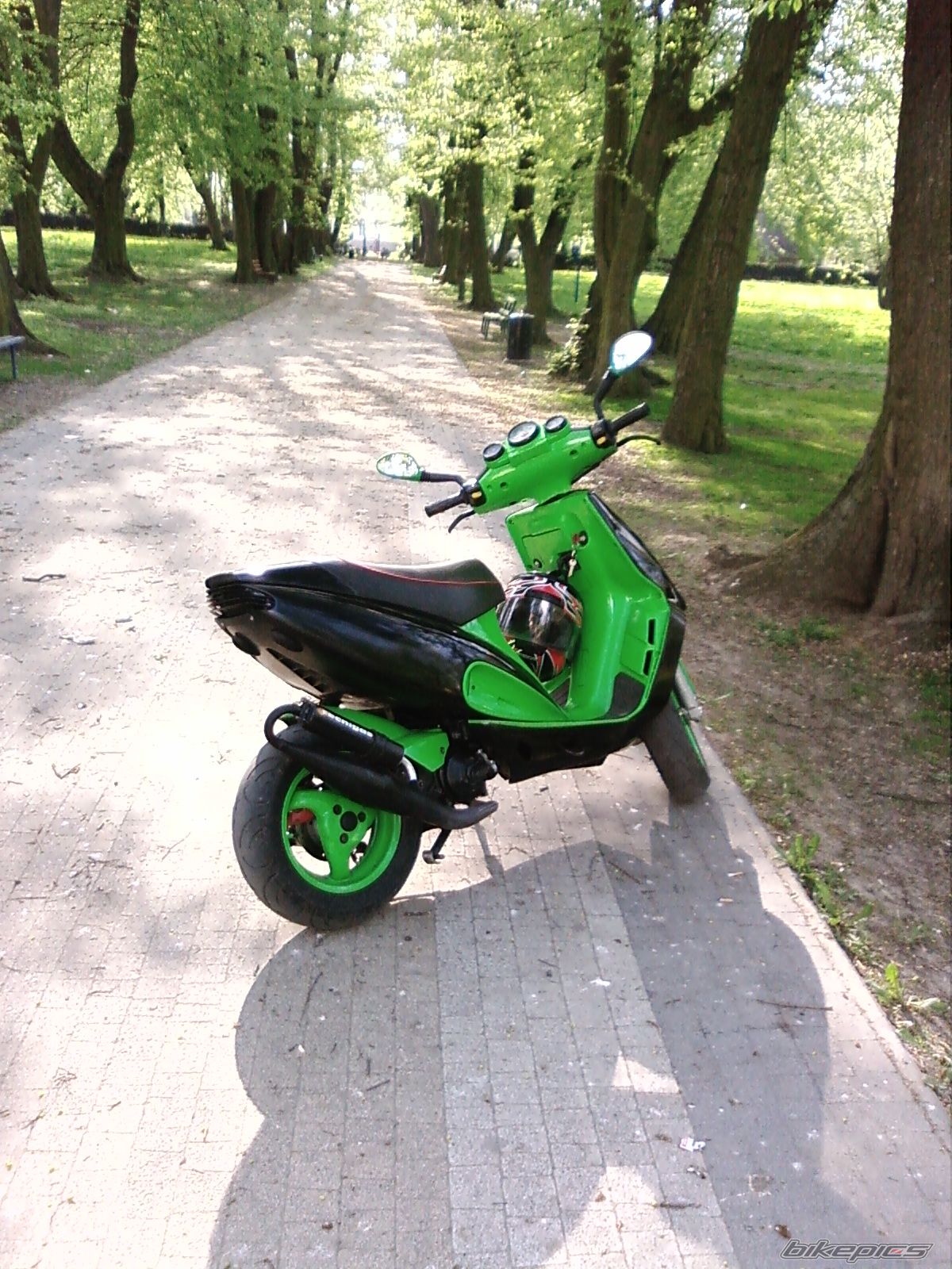 Photo 1274879