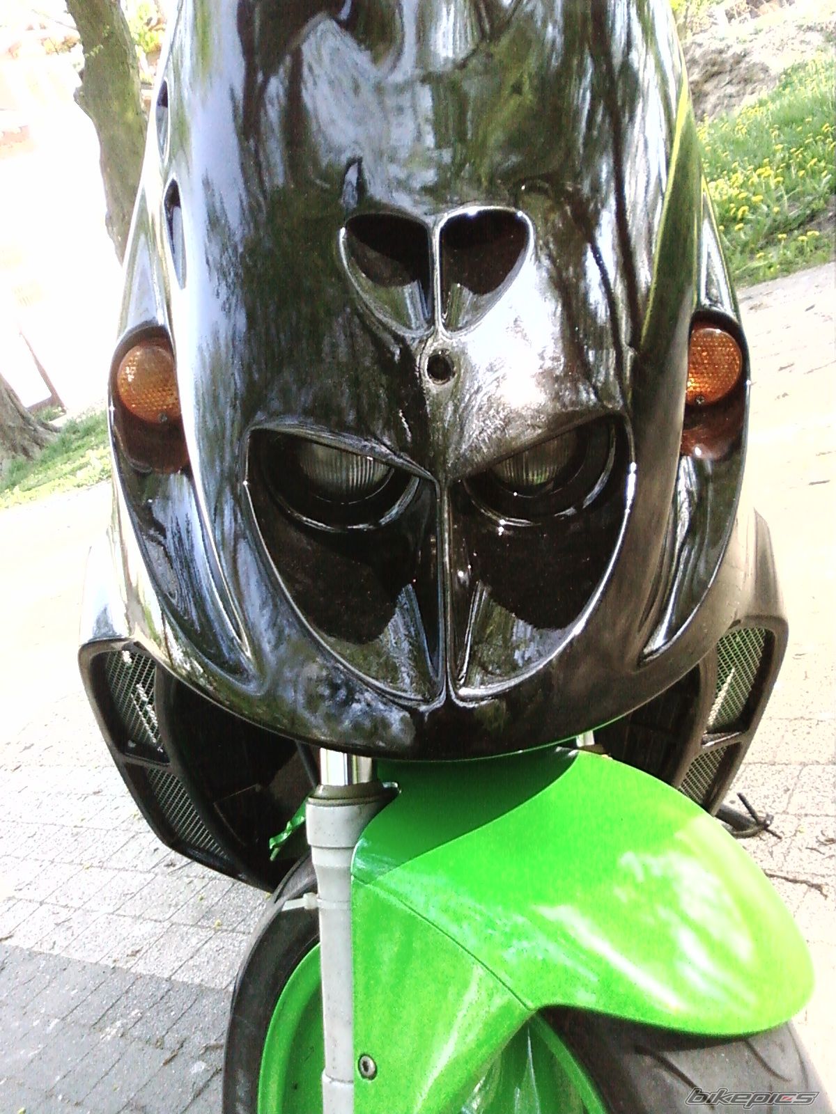 Photo 1274889