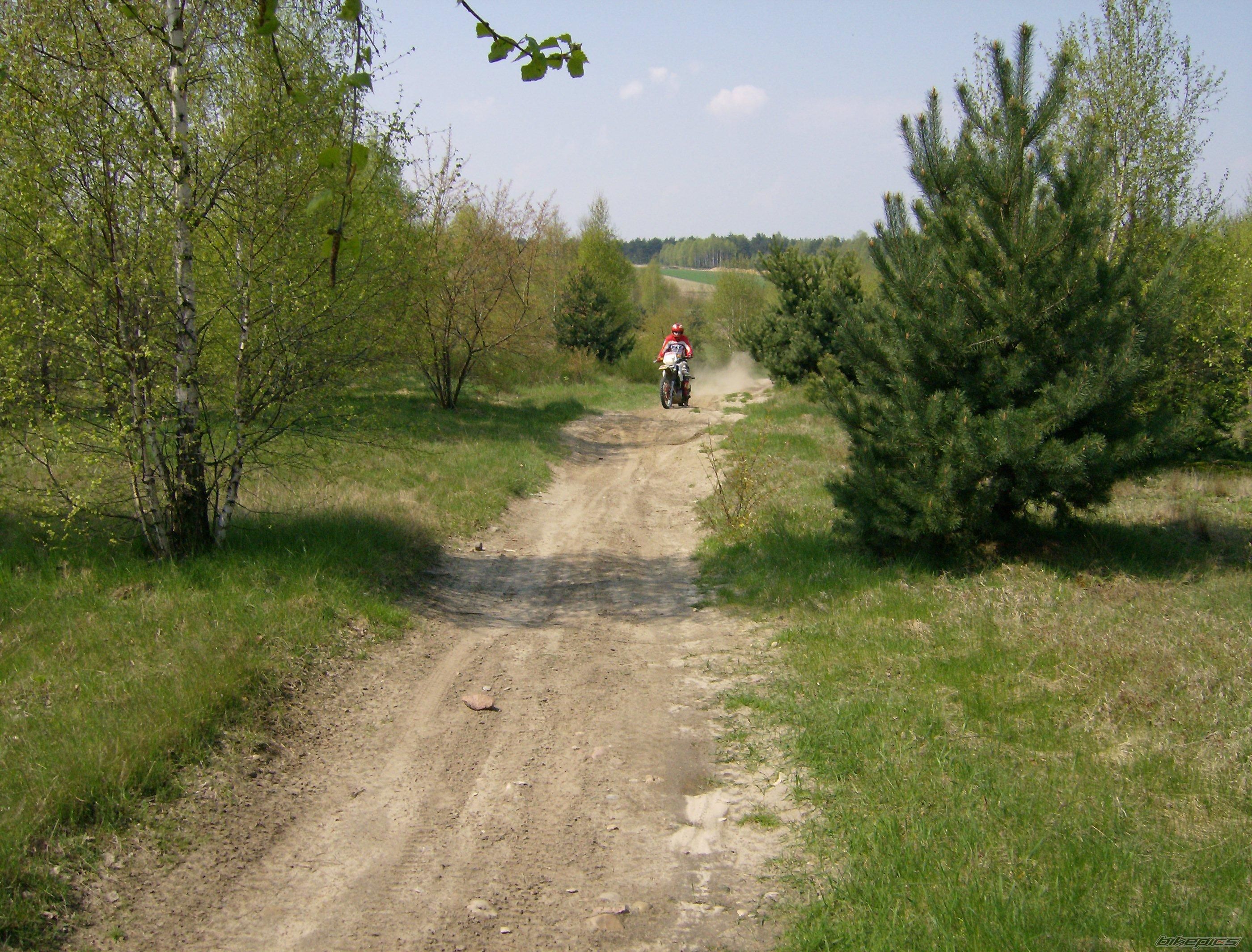 Photo 1274909