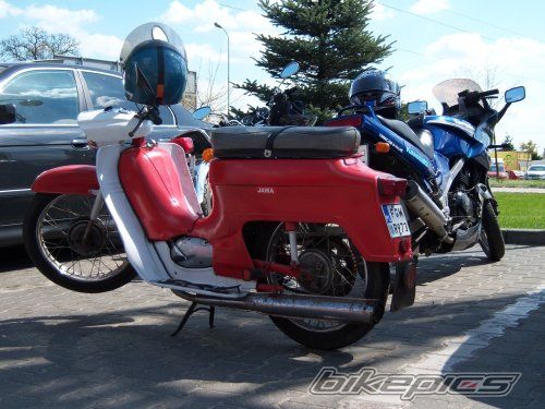Photo 1274935