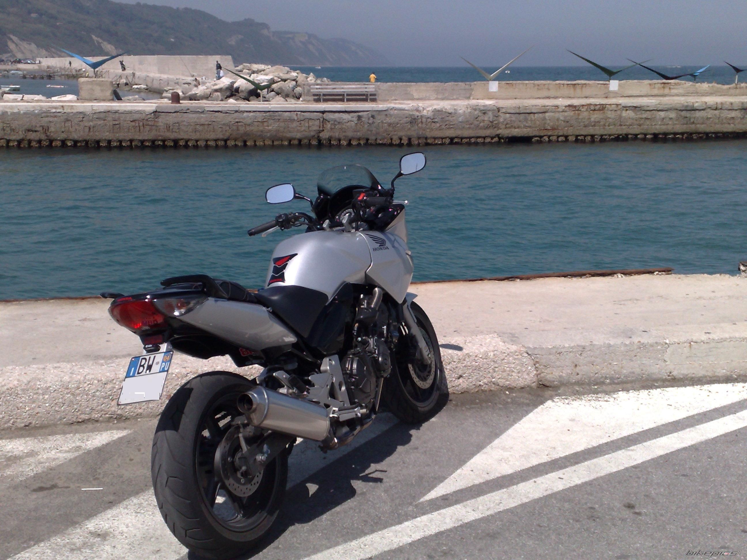 Photo 1274939