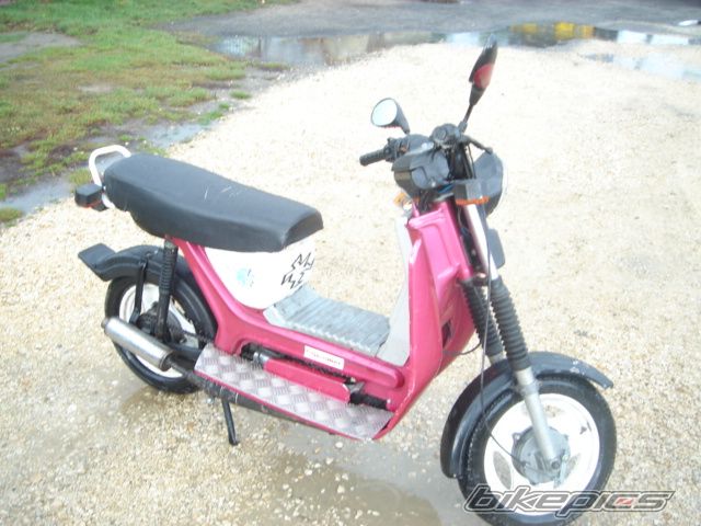 Photo 1275052