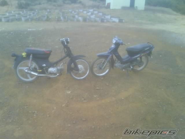 Photo 1275078