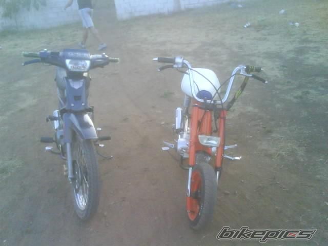 Photo 1275088