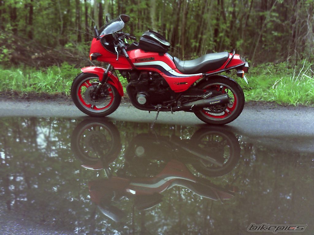 Photo 1275104