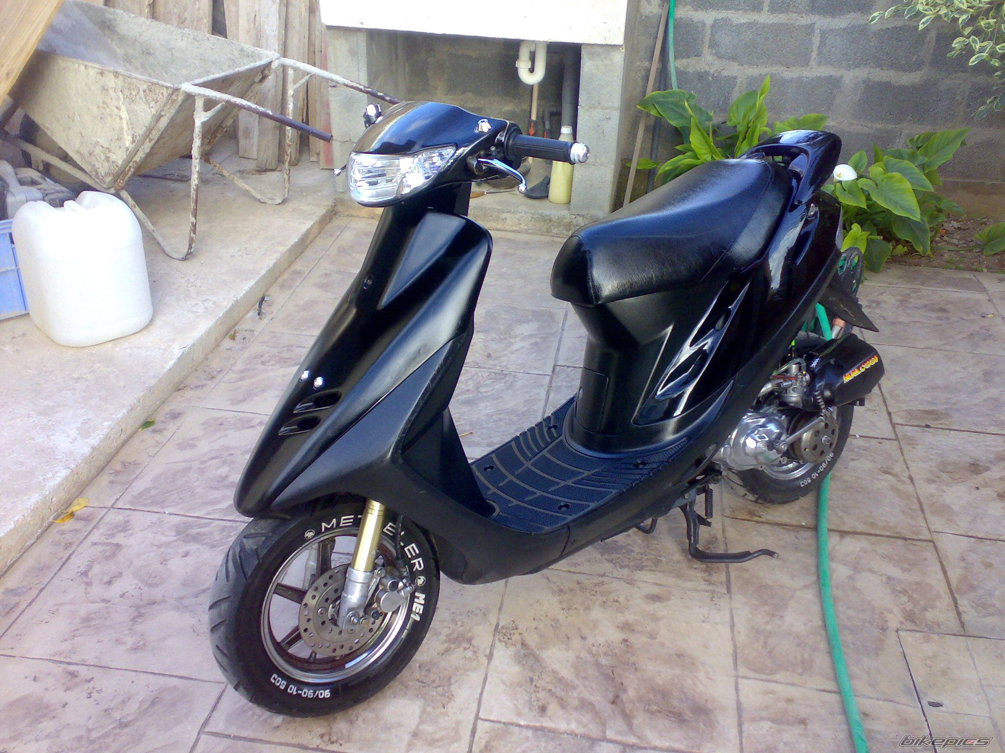 Photo 1275223