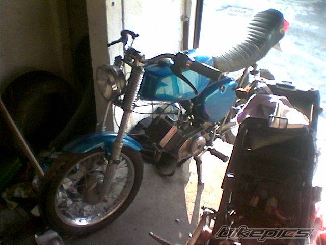 Photo 127523