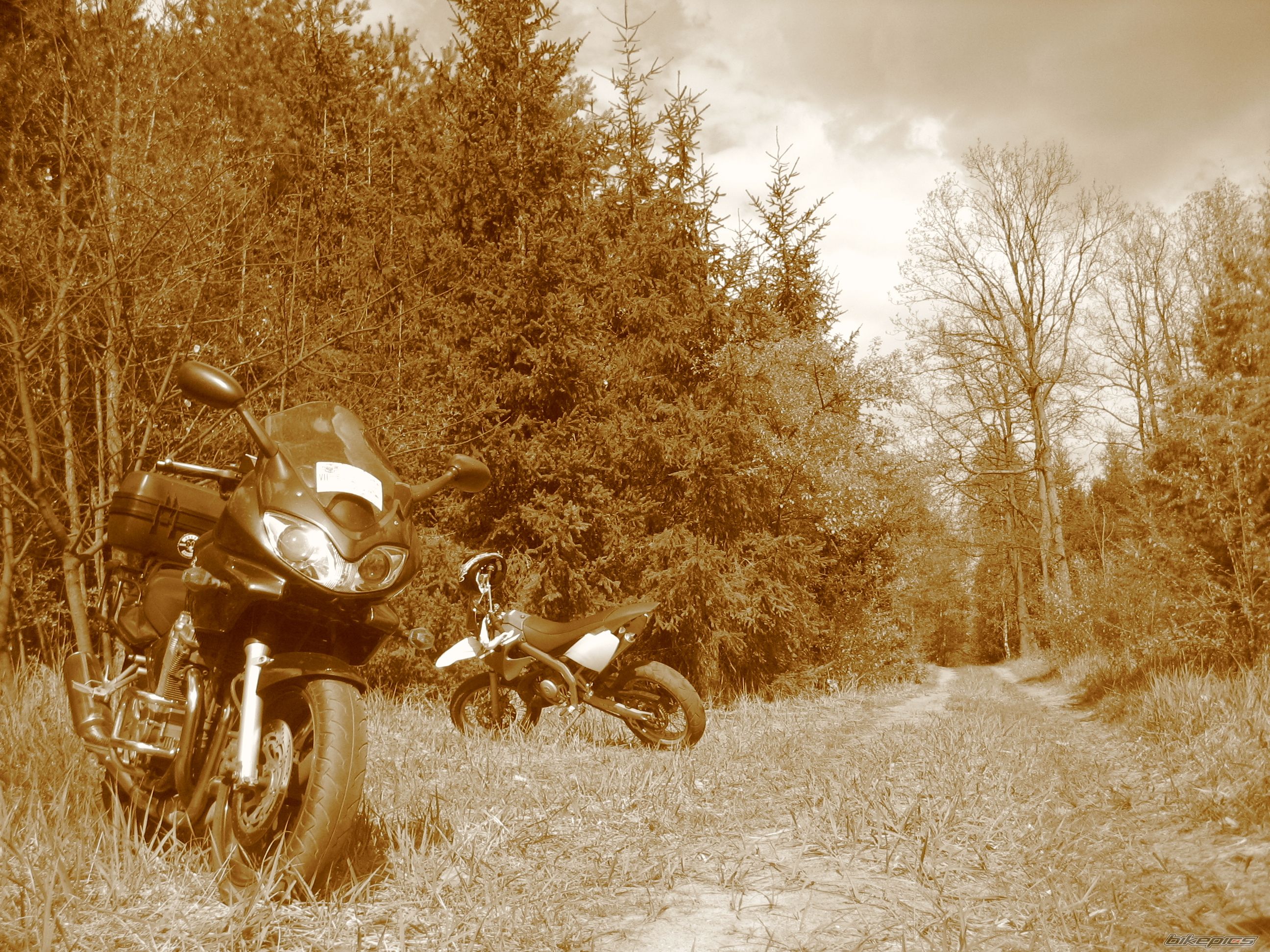 Bike Photo 1275232