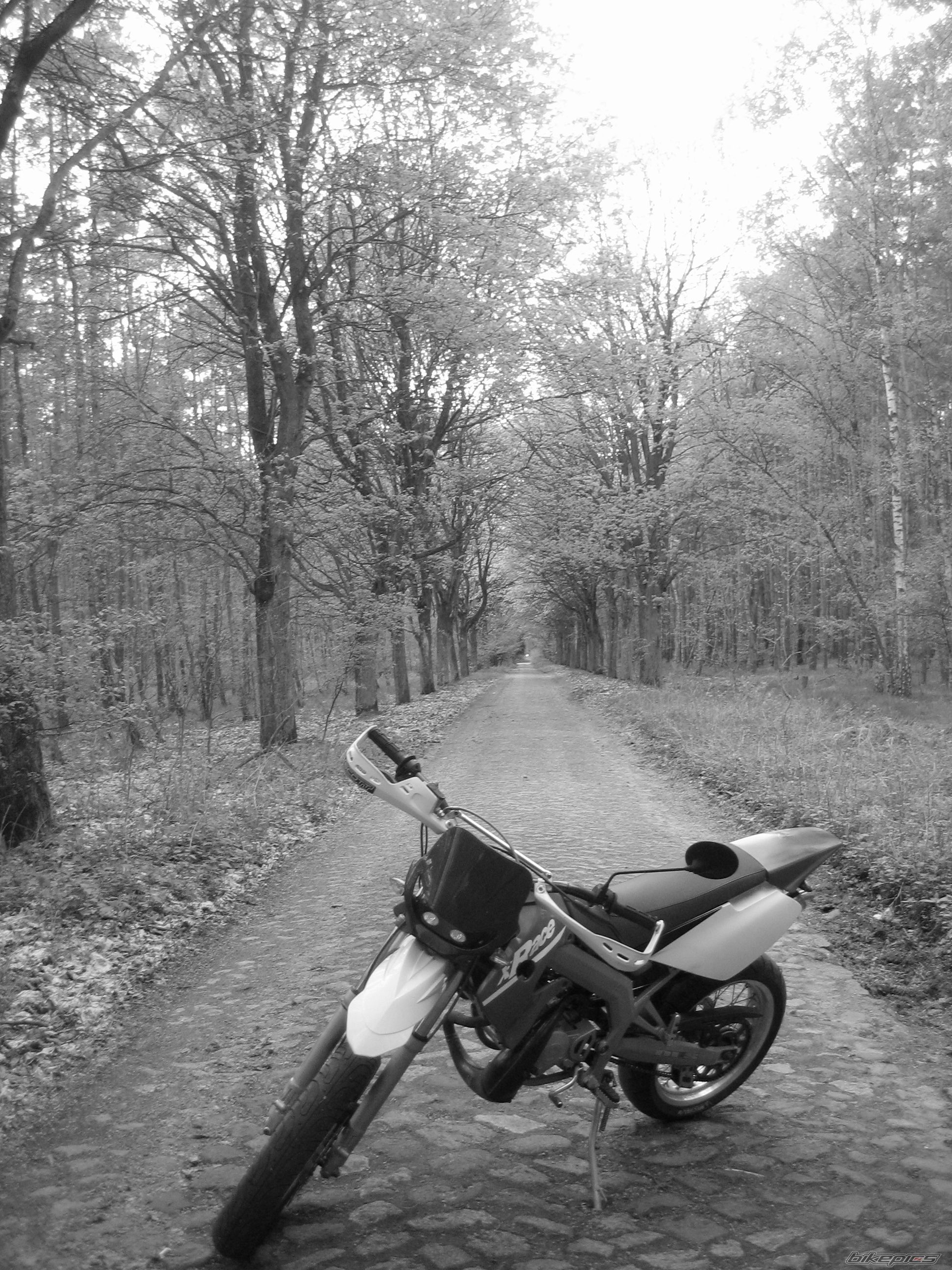 Photo 1275246