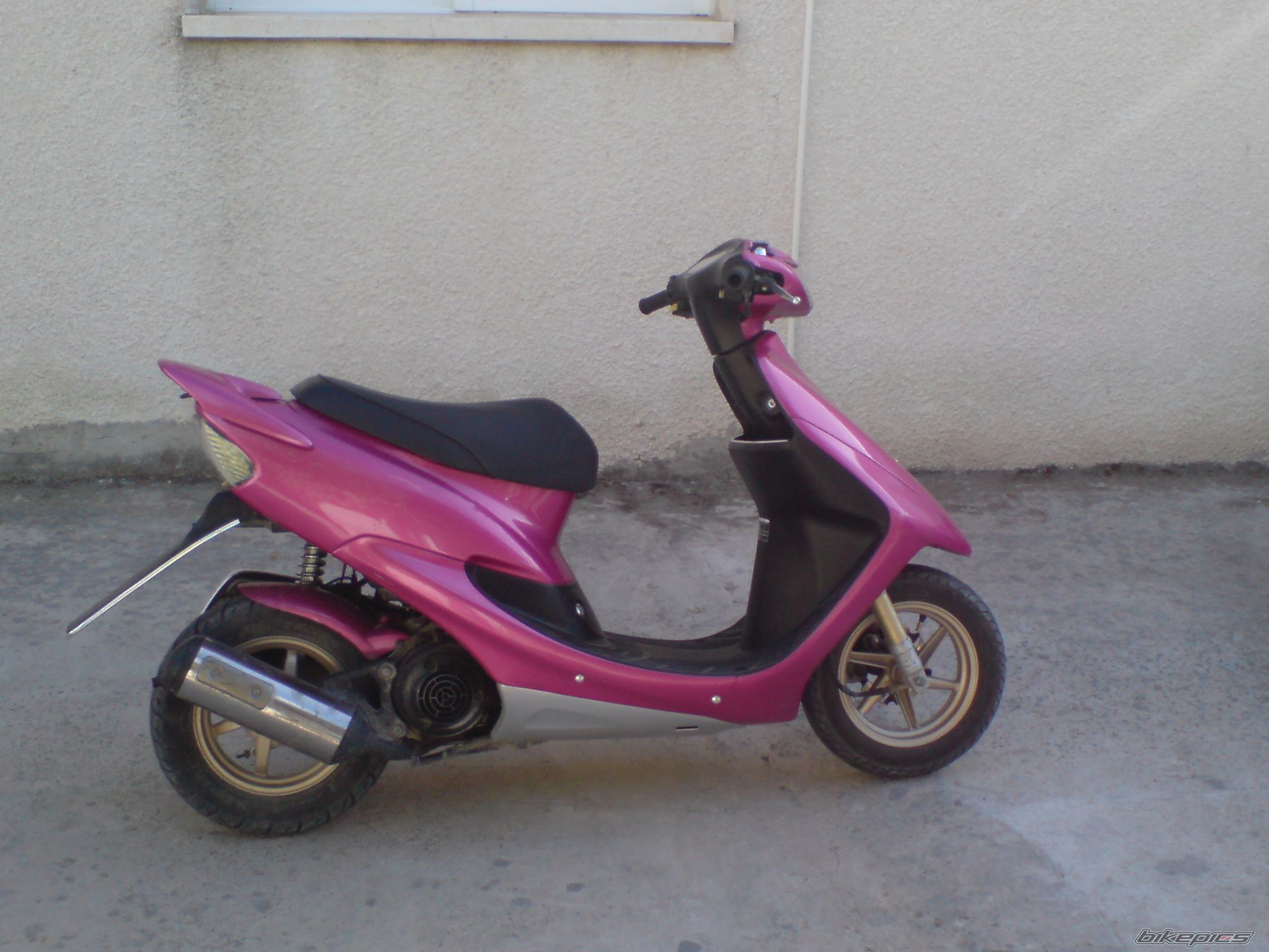 Photo 1275247