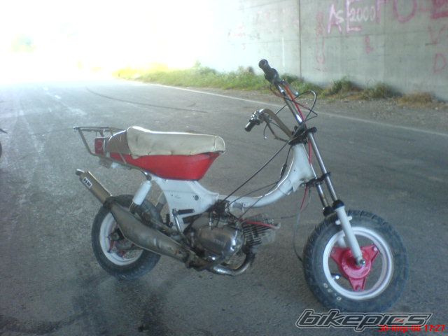 Photo 1275252