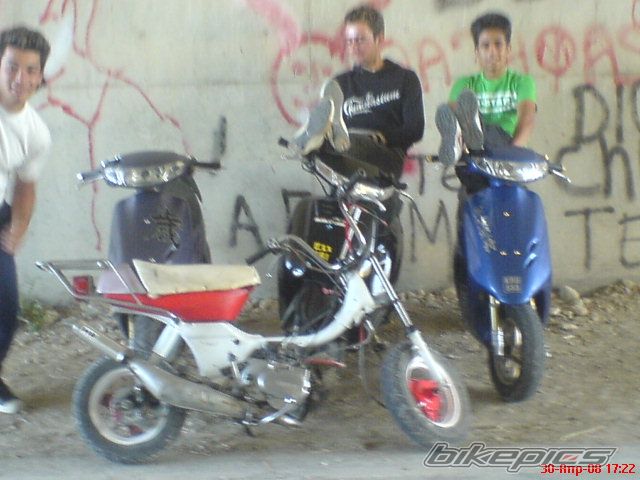Photo 1275258