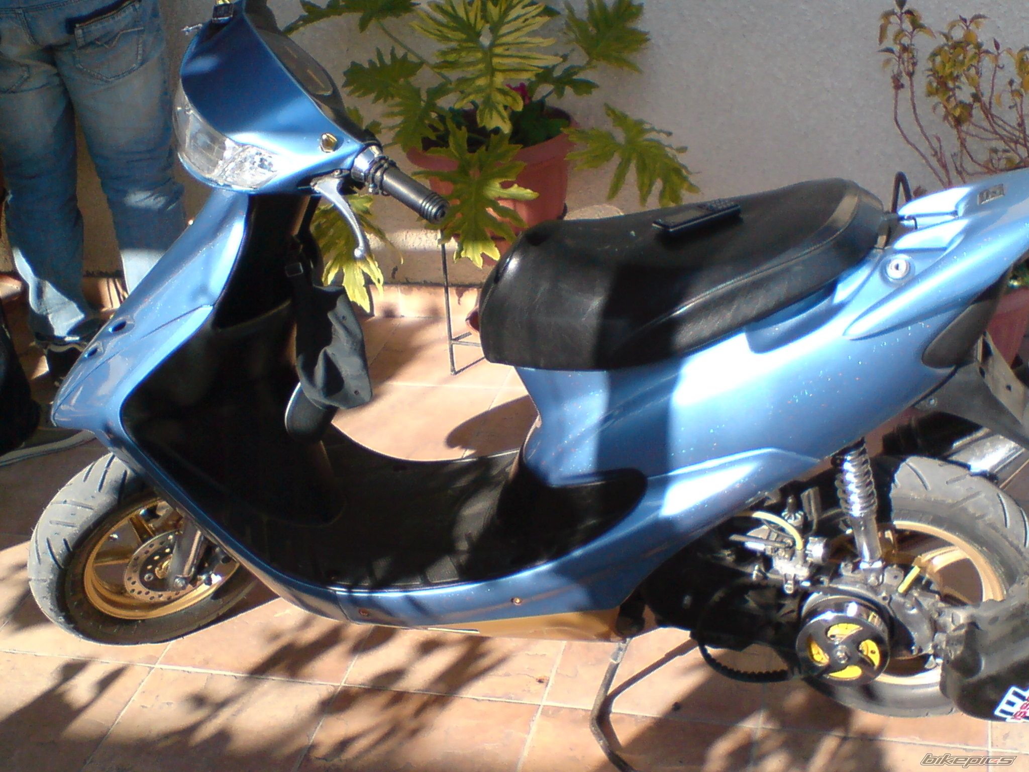 Photo 1275259