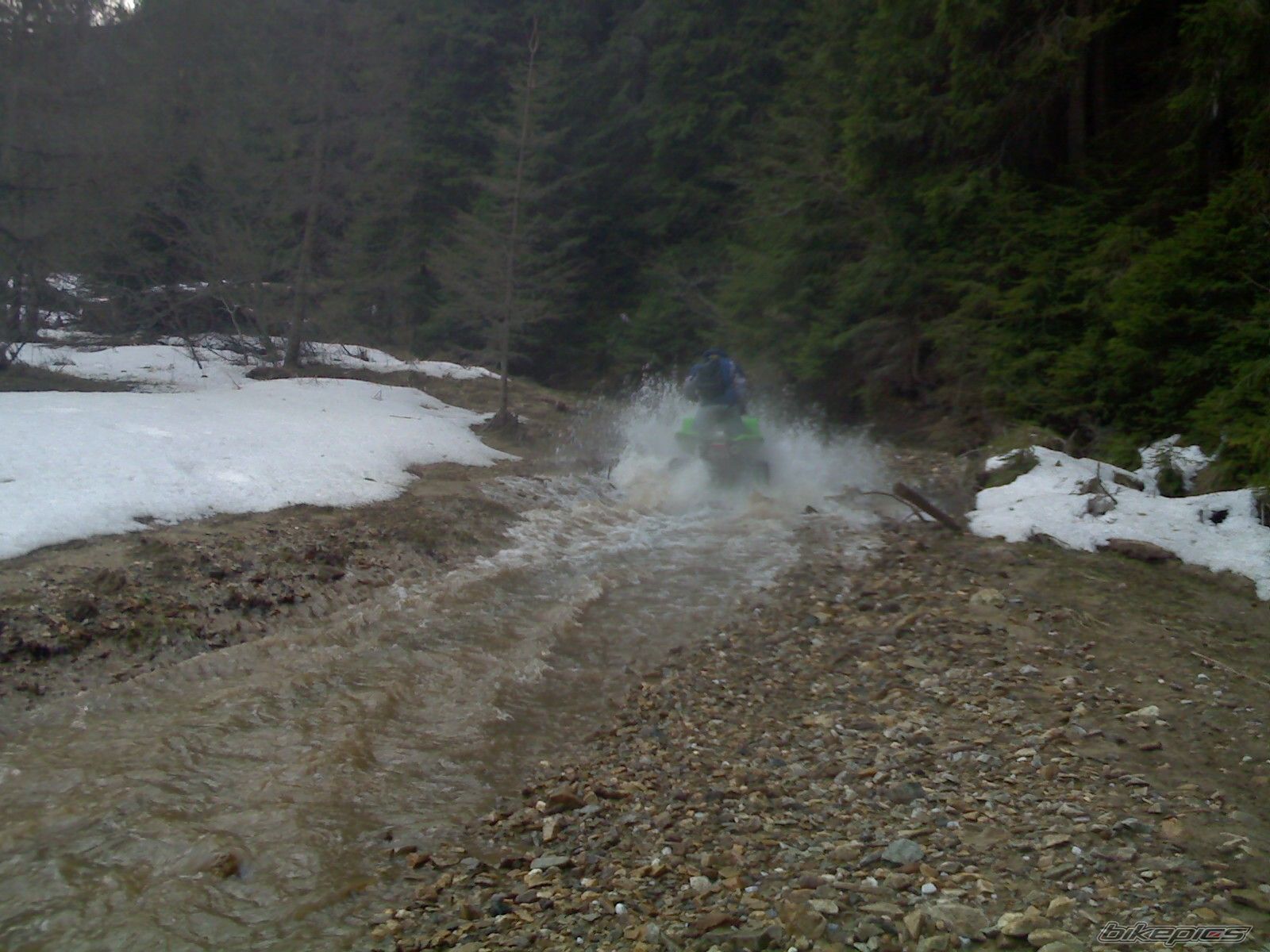Photo 1275297