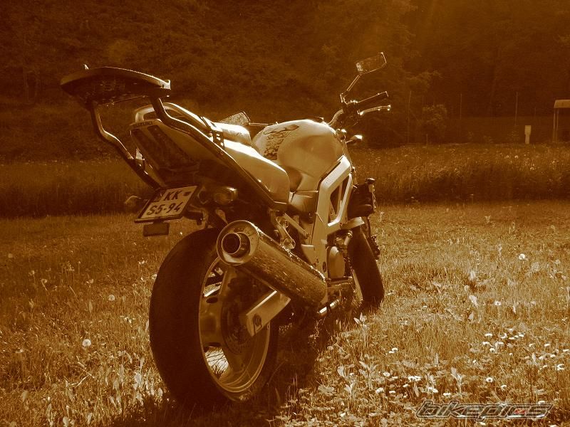 Photo 1275353