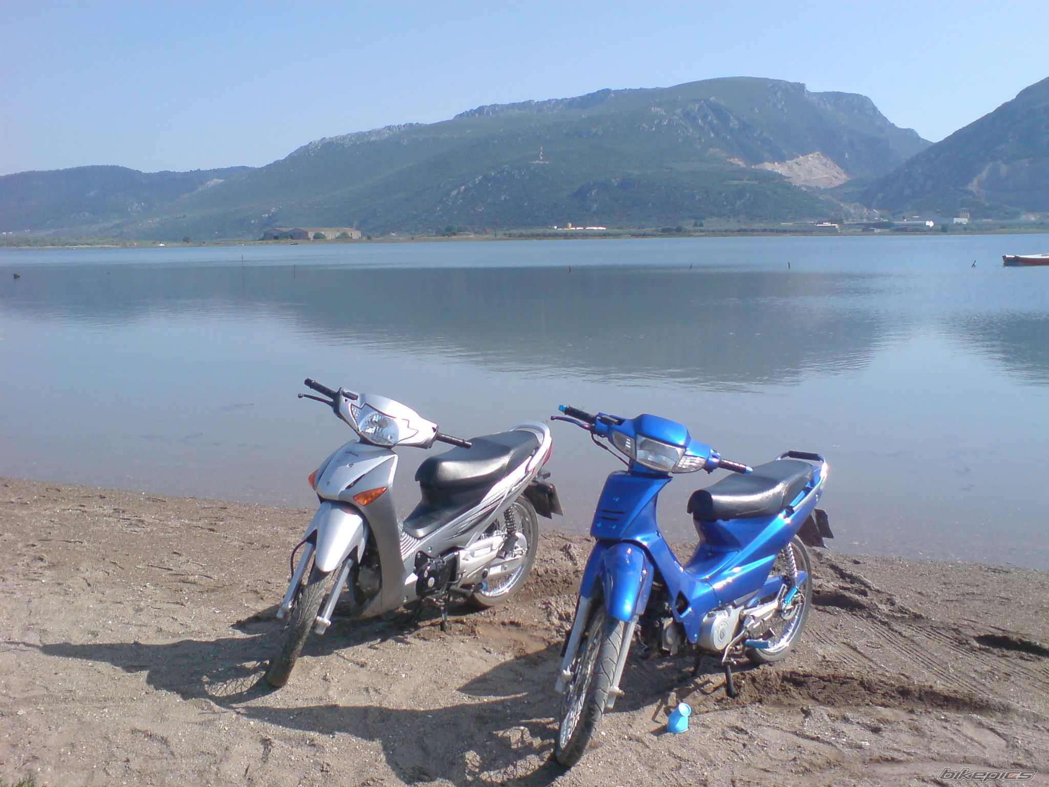 Photo 1275397