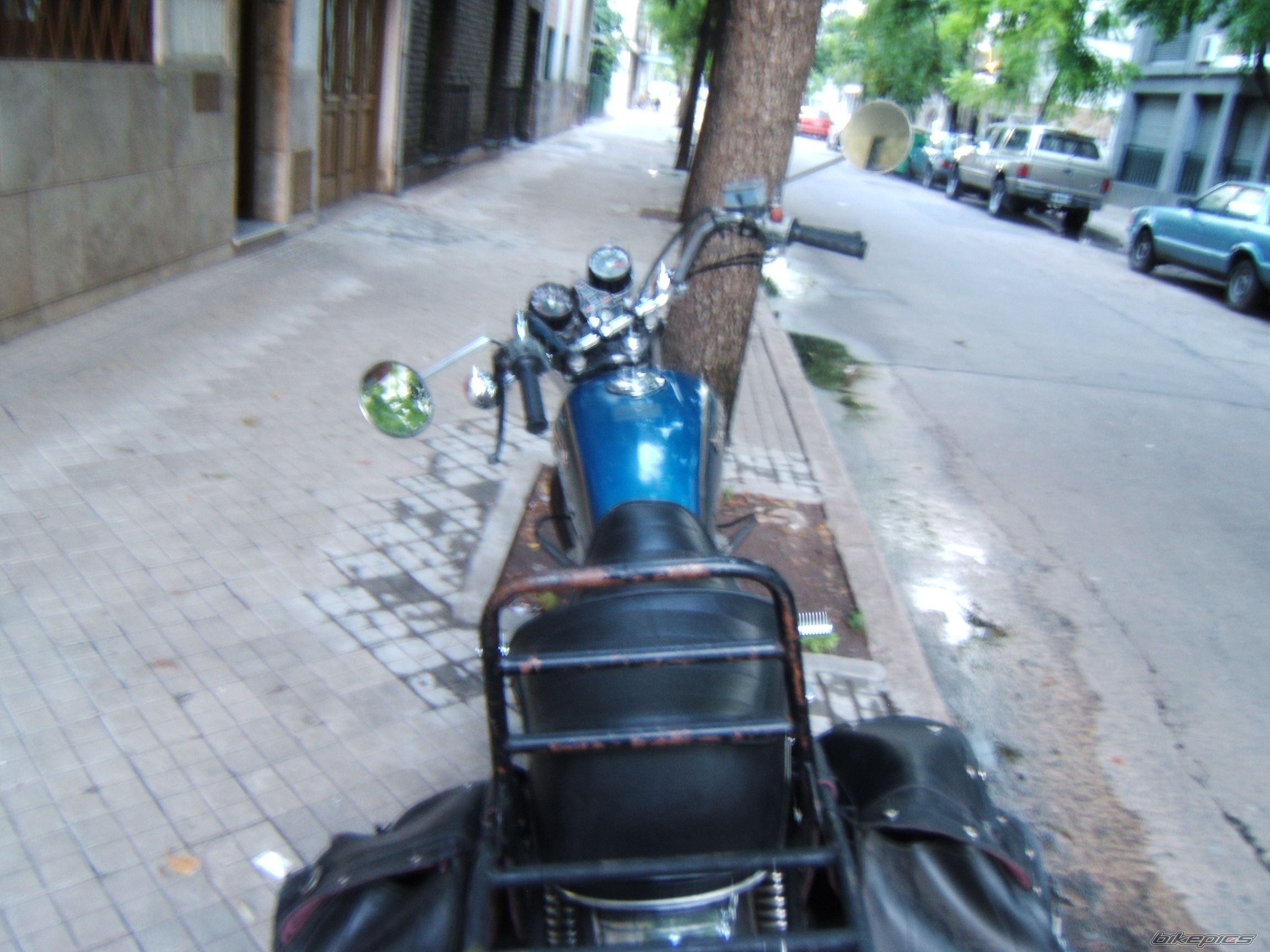 Photo 1275399