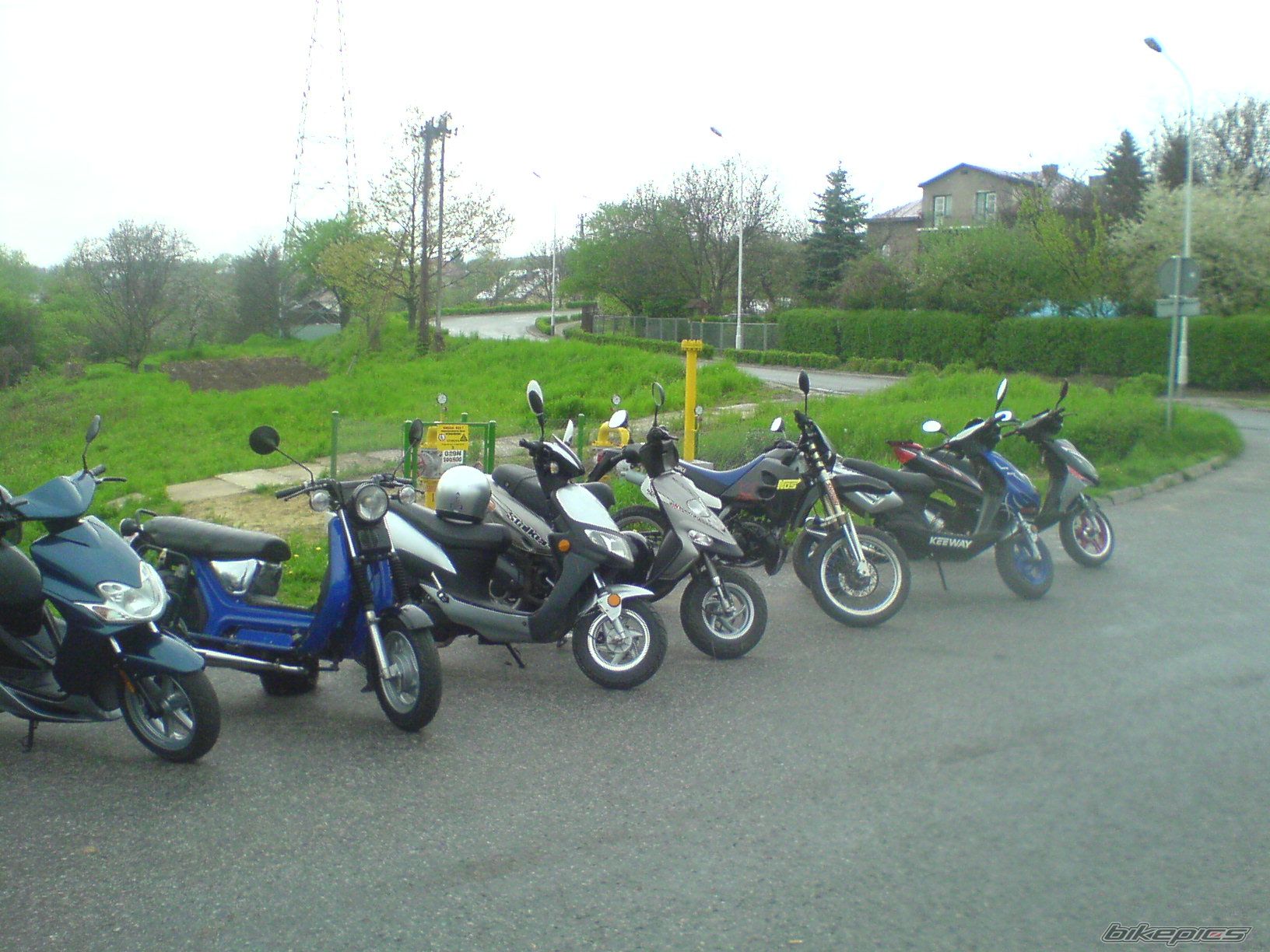 Photo 1275406