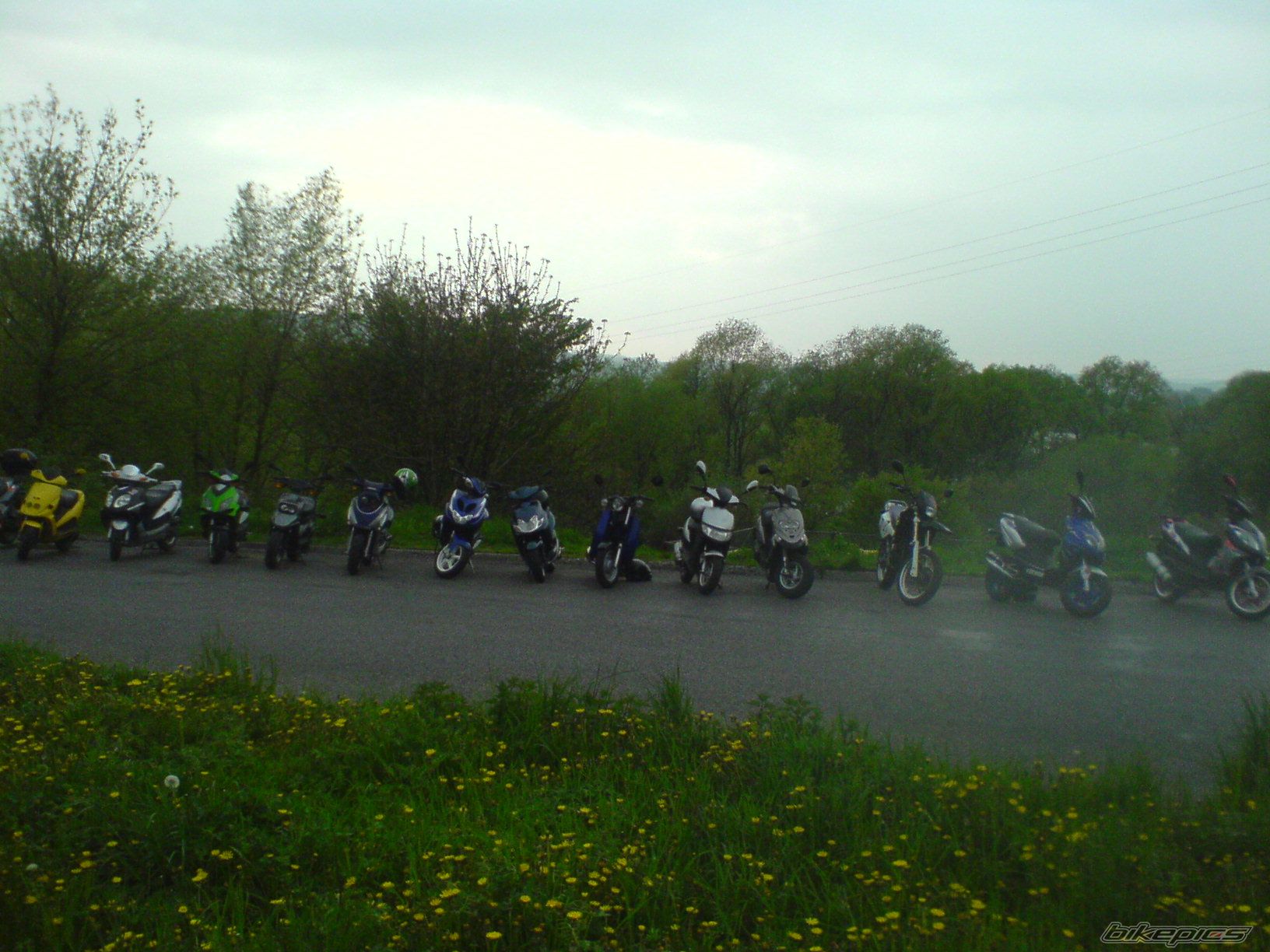 Photo 1275444