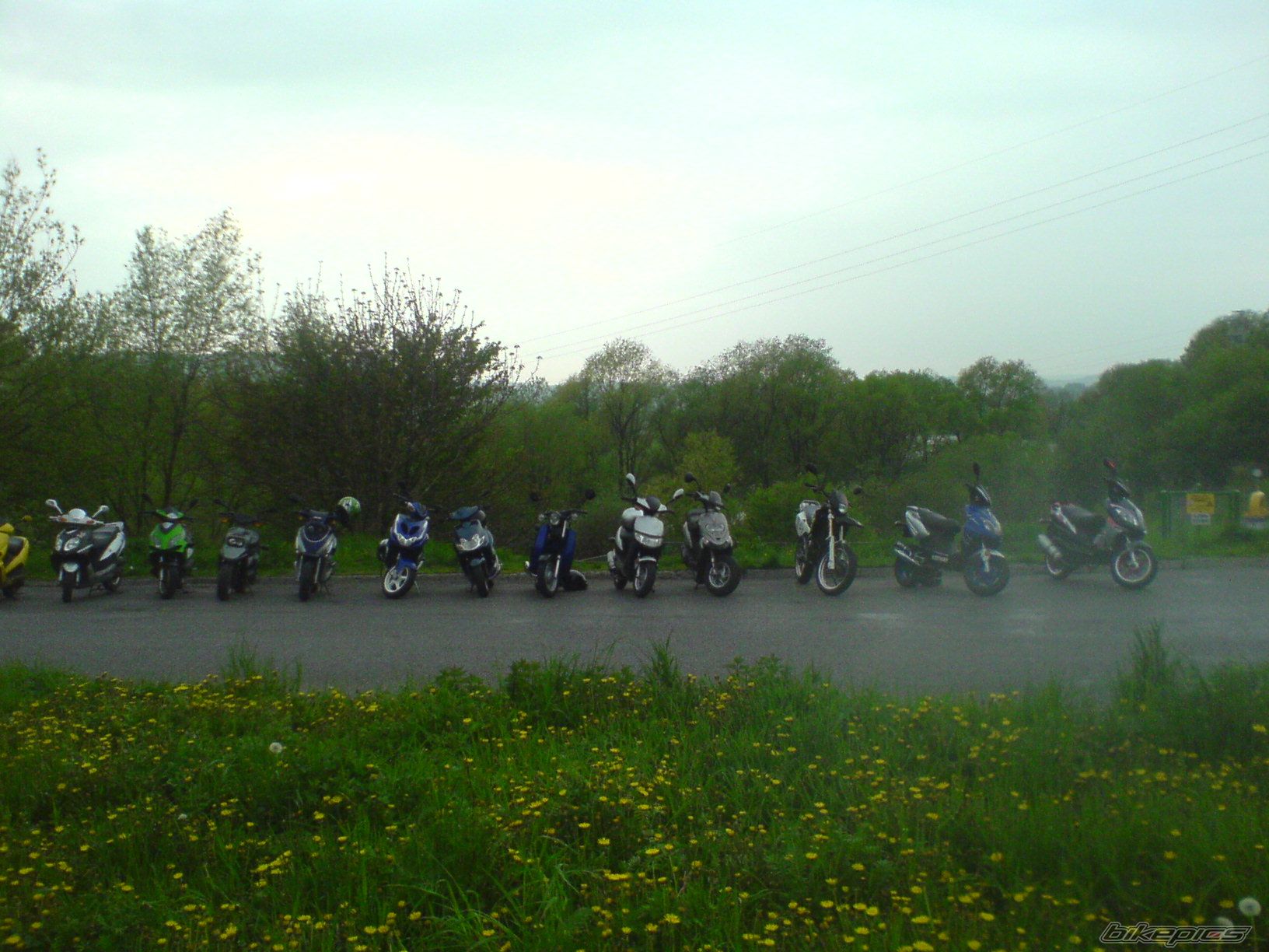 Photo 1275452