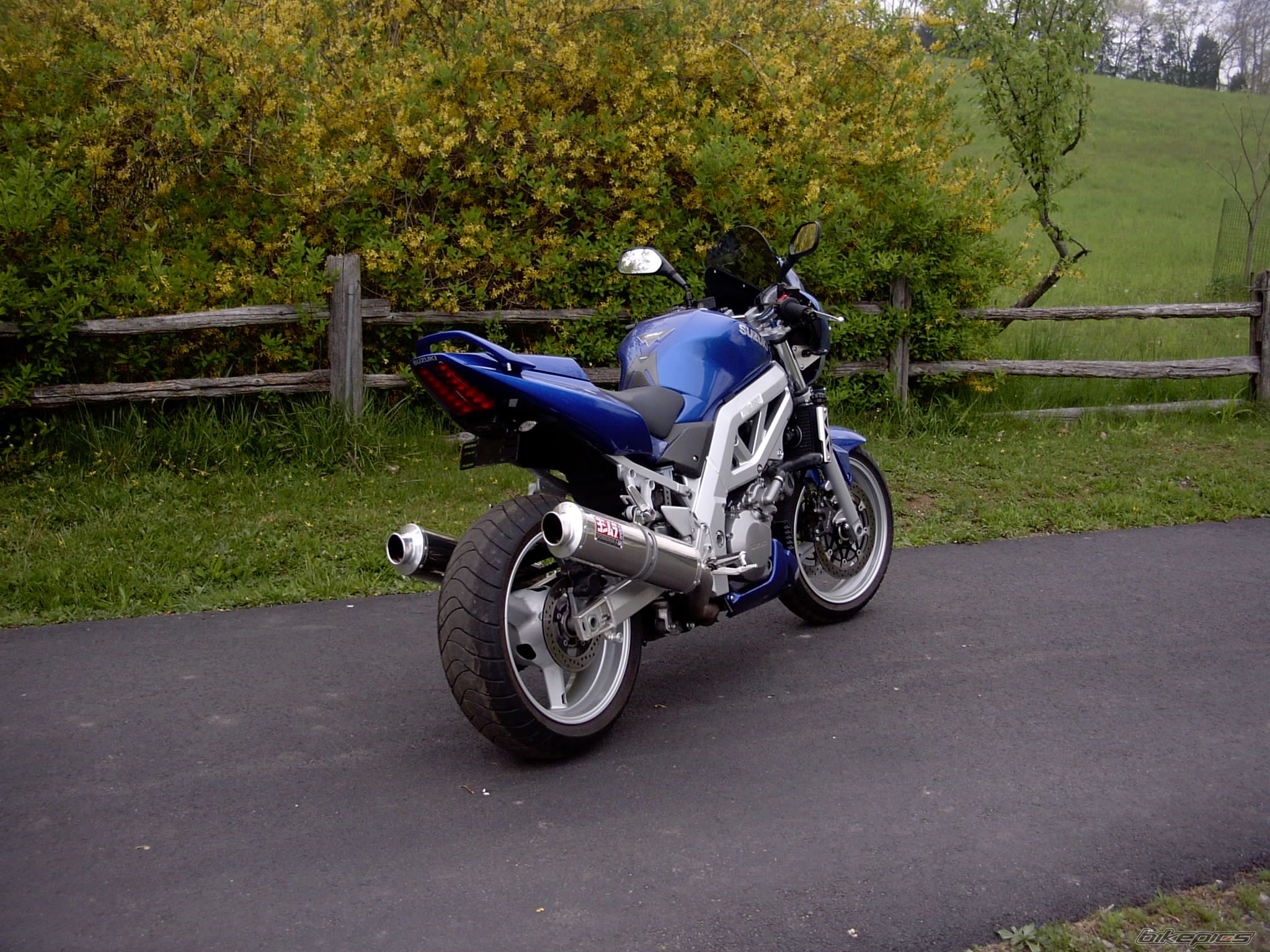 Photo 1275485
