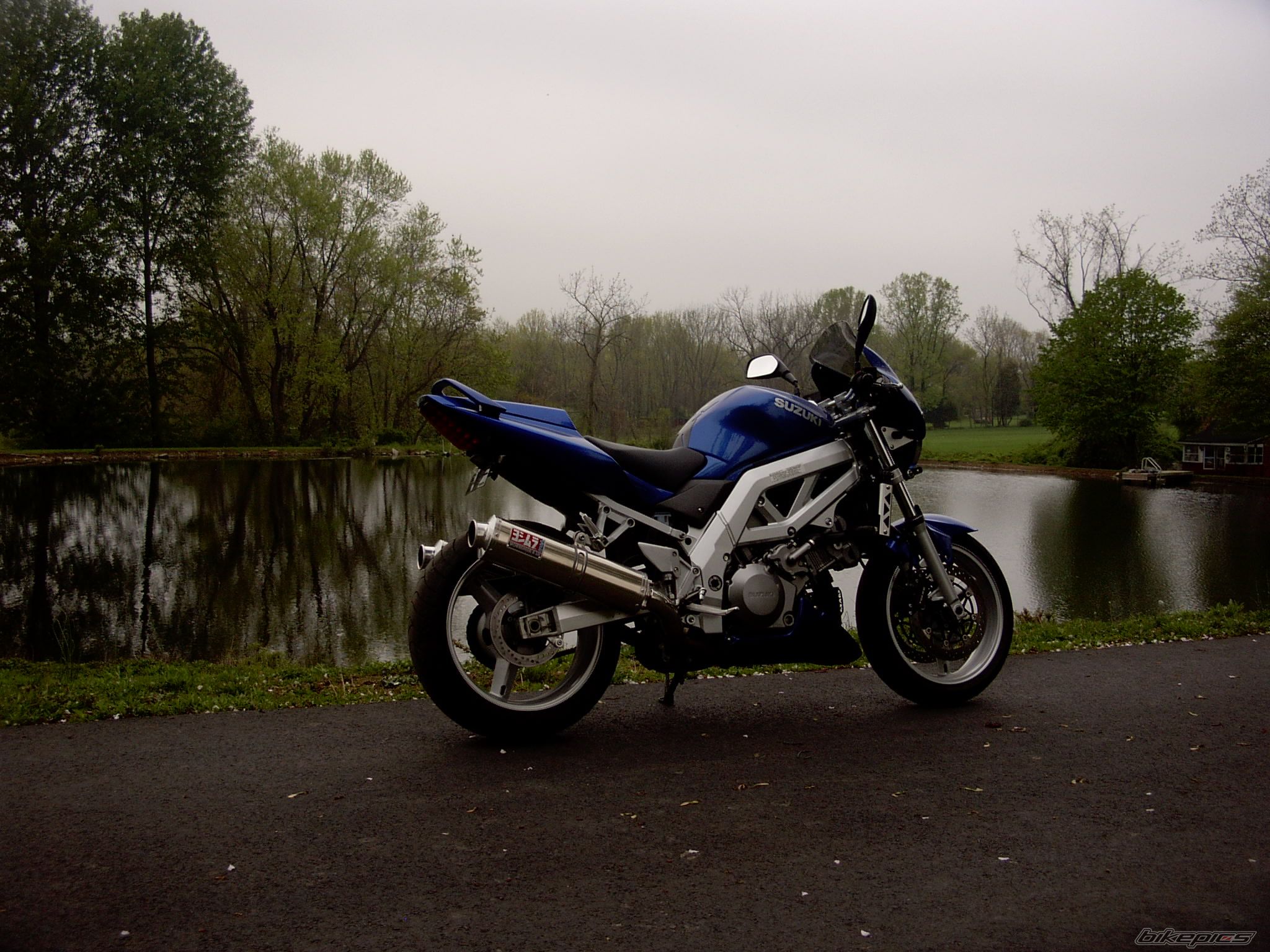 Photo 1275489