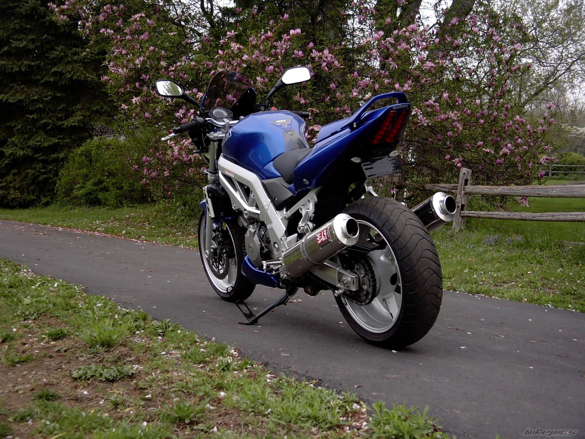 Photo 1275497