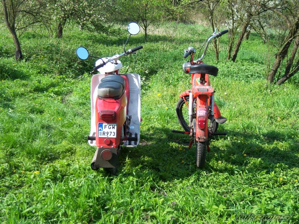 Photo 1275502