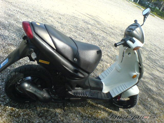 Photo 1275519