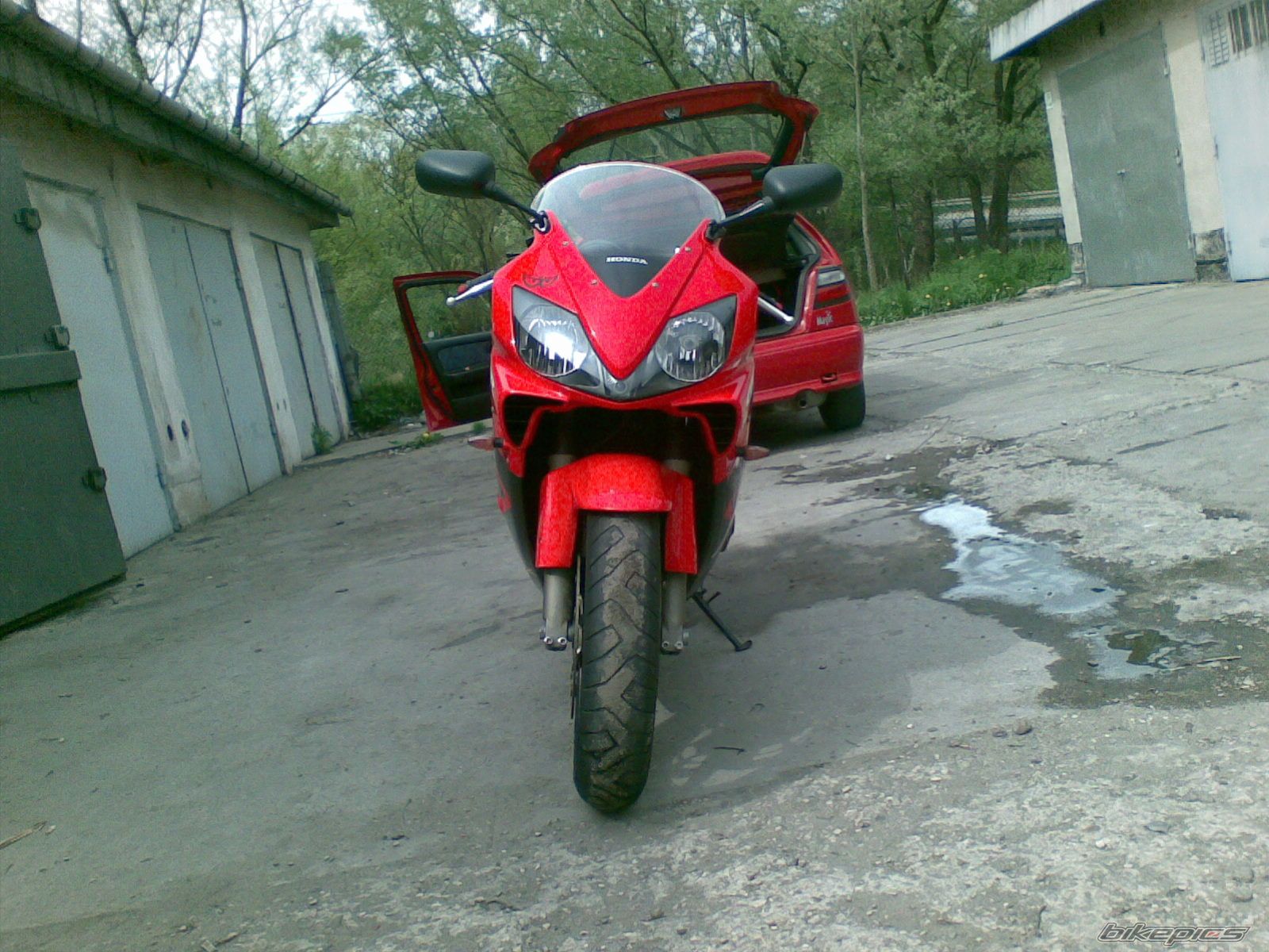 Photo 1275540