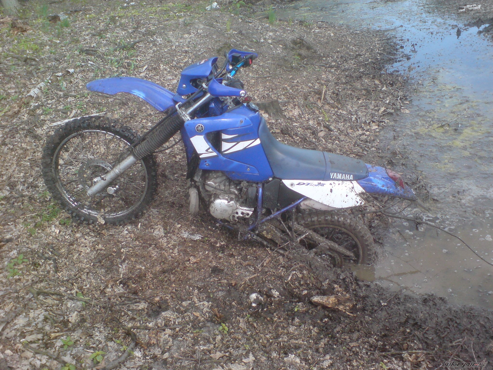 Bike Photo 1275549