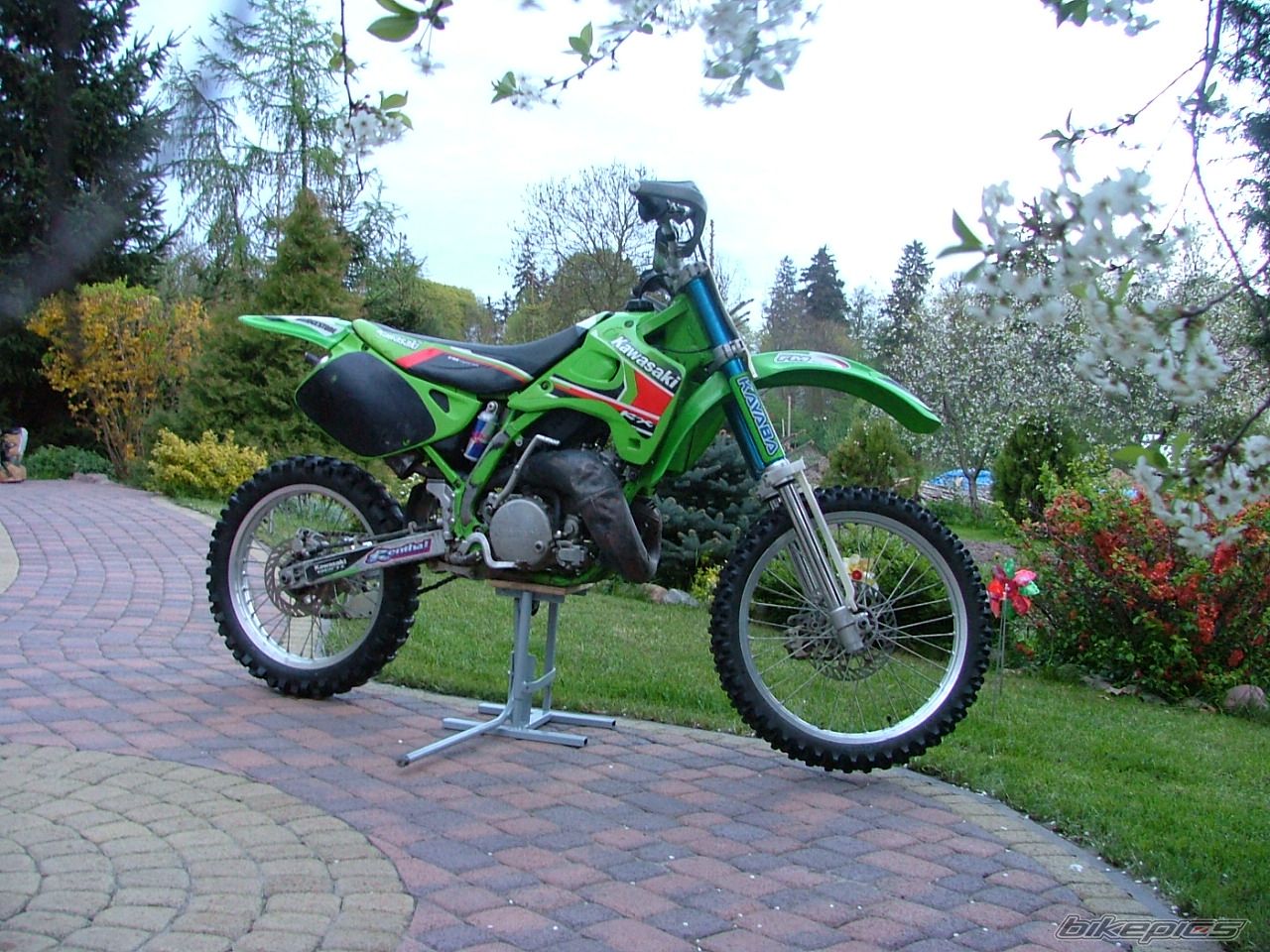 Photo 1275560
