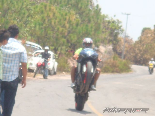 Photo 1275561