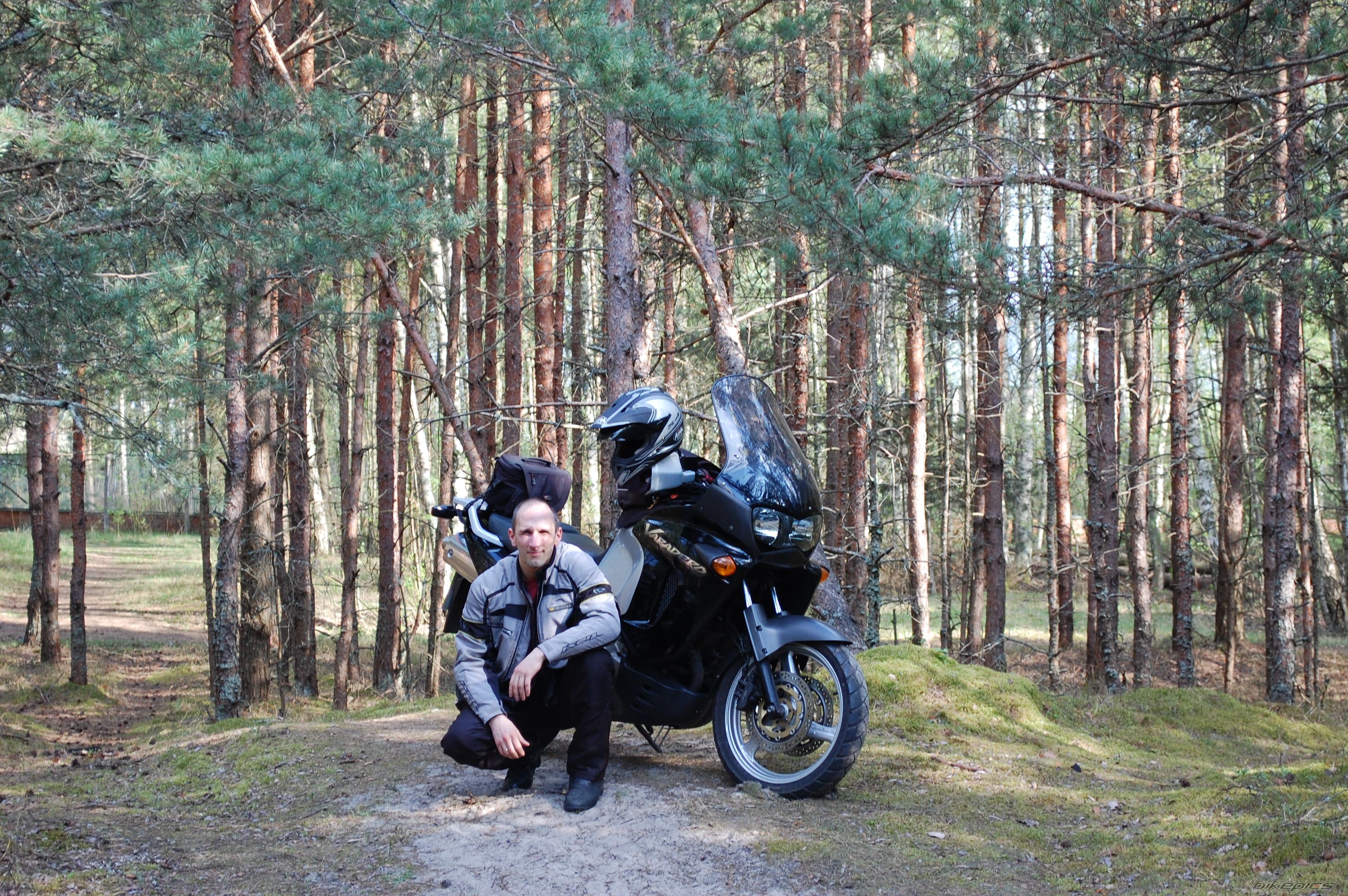 Photo 1275577