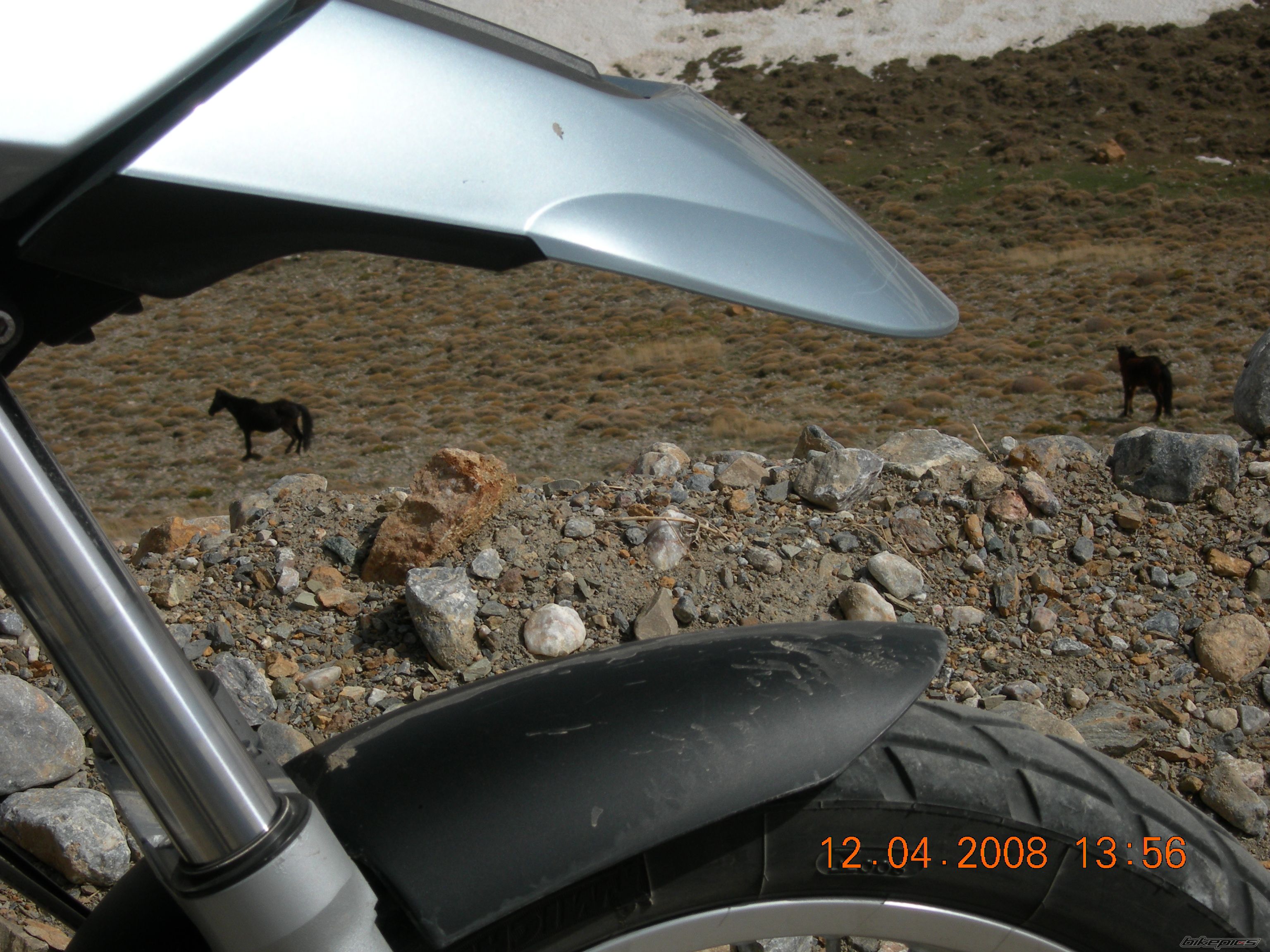 Photo 1275619