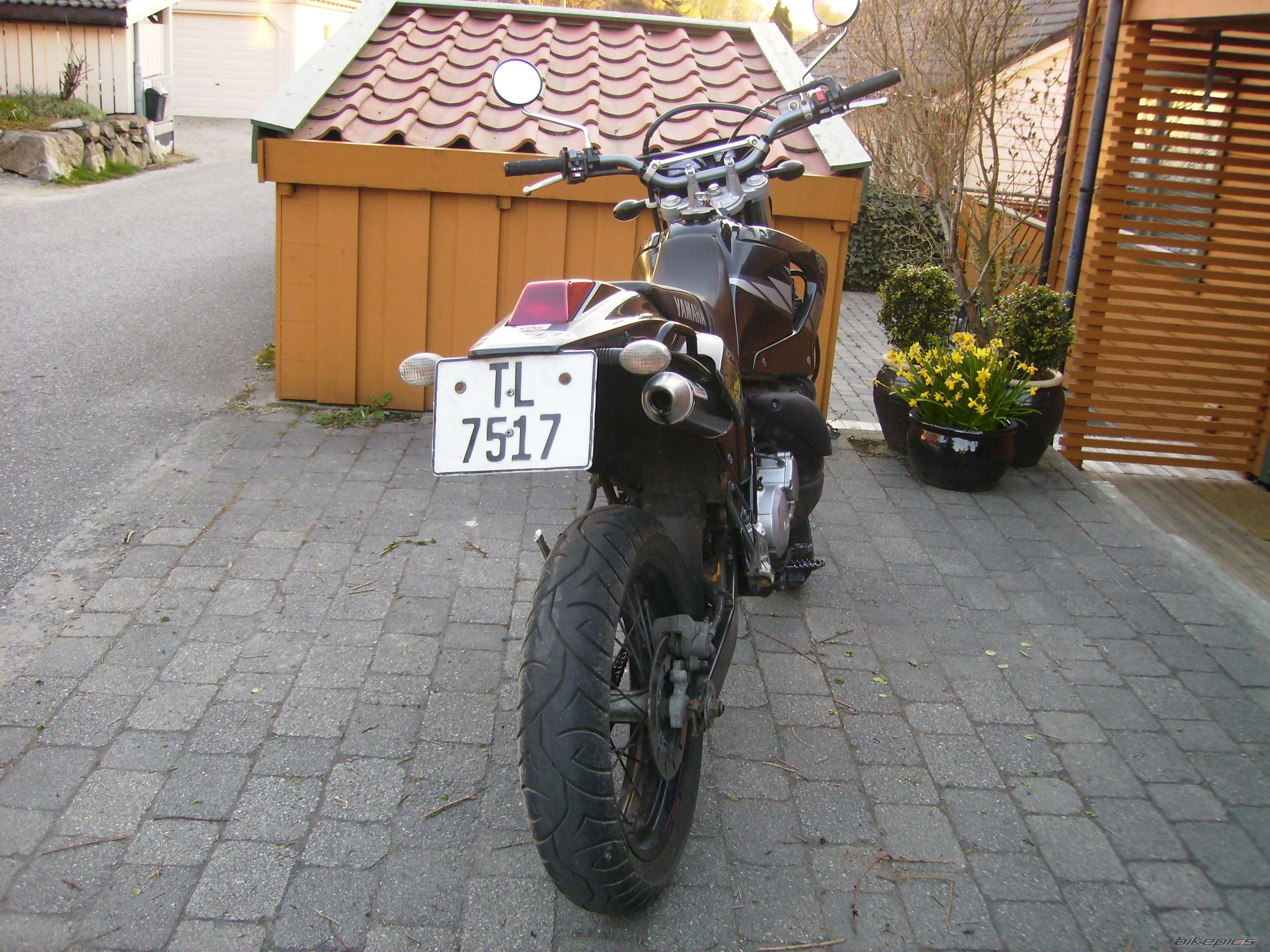 Photo 1275631