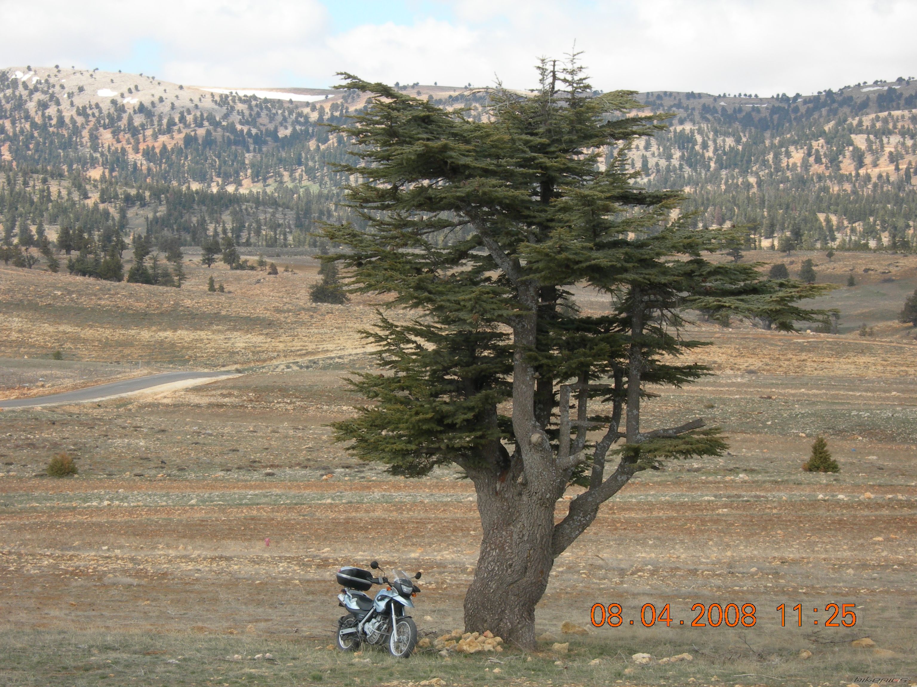 Photo 1275664
