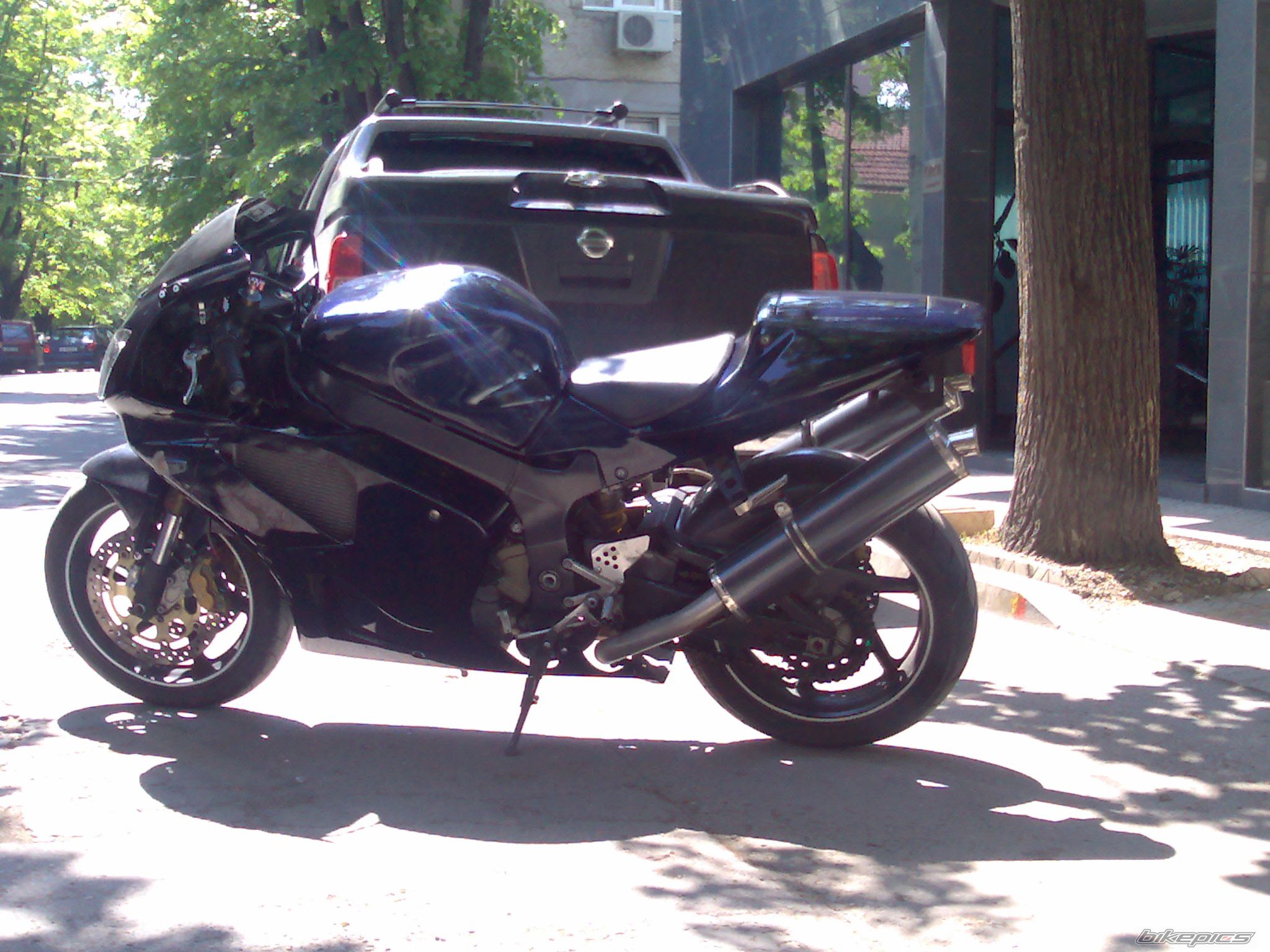Photo 1275695